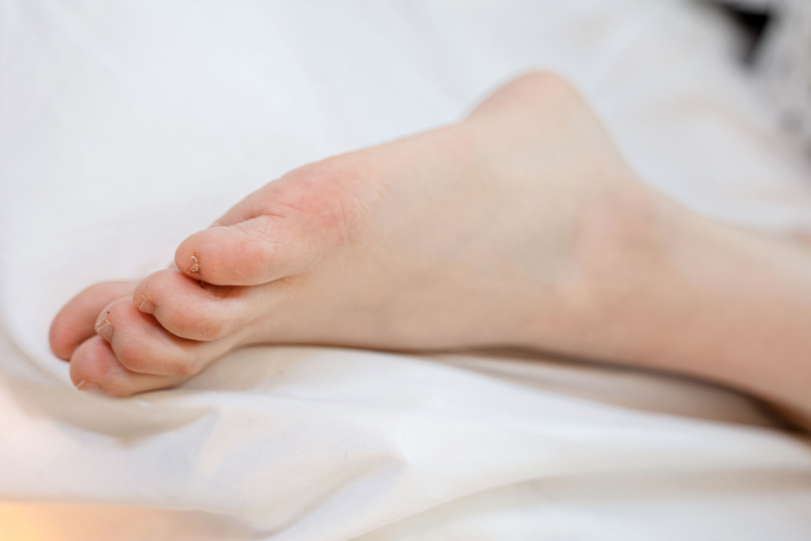 [MZSOCK]爱美足 No.272 天天/(83P)