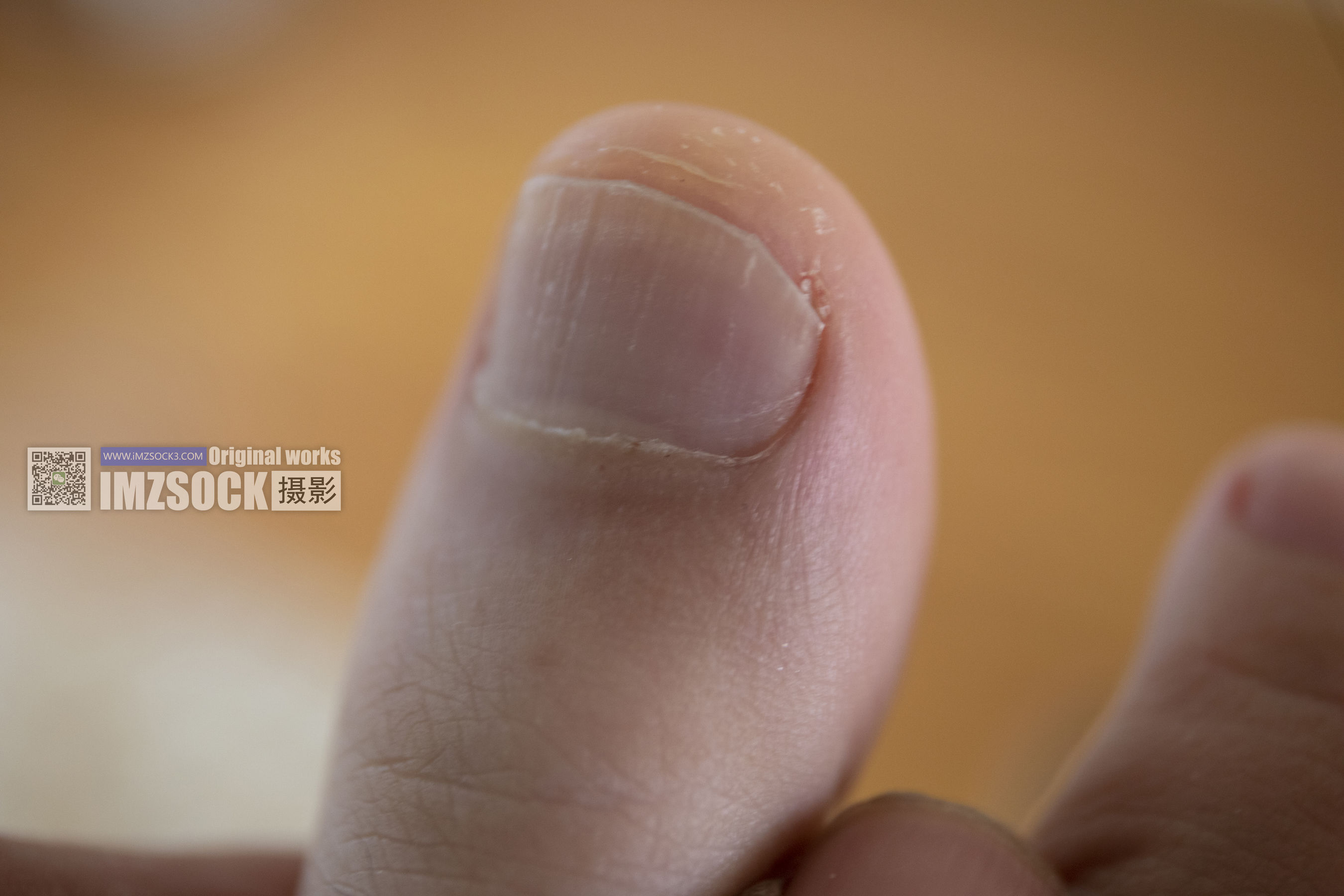 [MZSOCK]爱美足 No.228 蕊子/(93P)