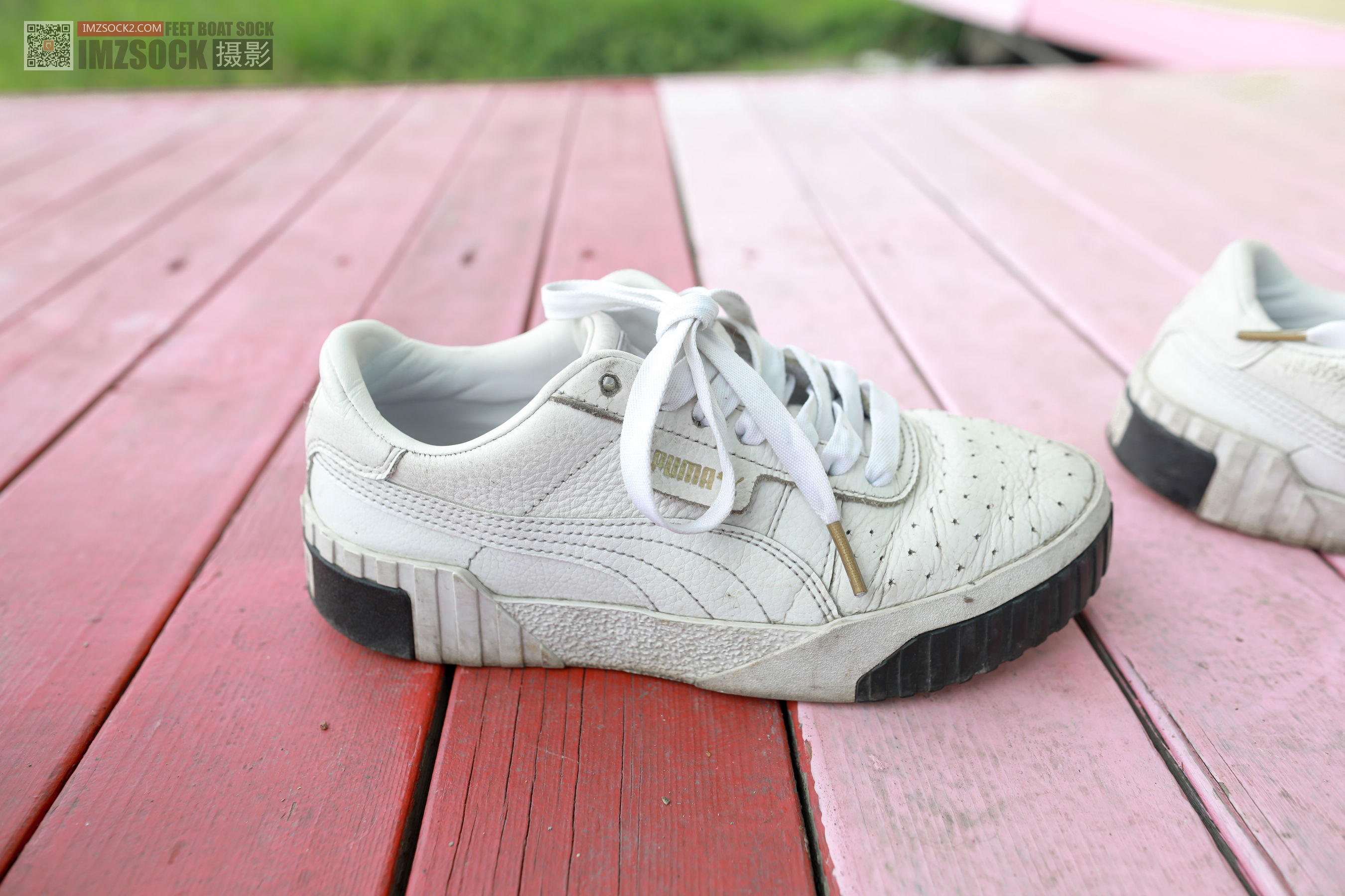 [MZSOCK]爱美足 No.255 雯雯/(133P)