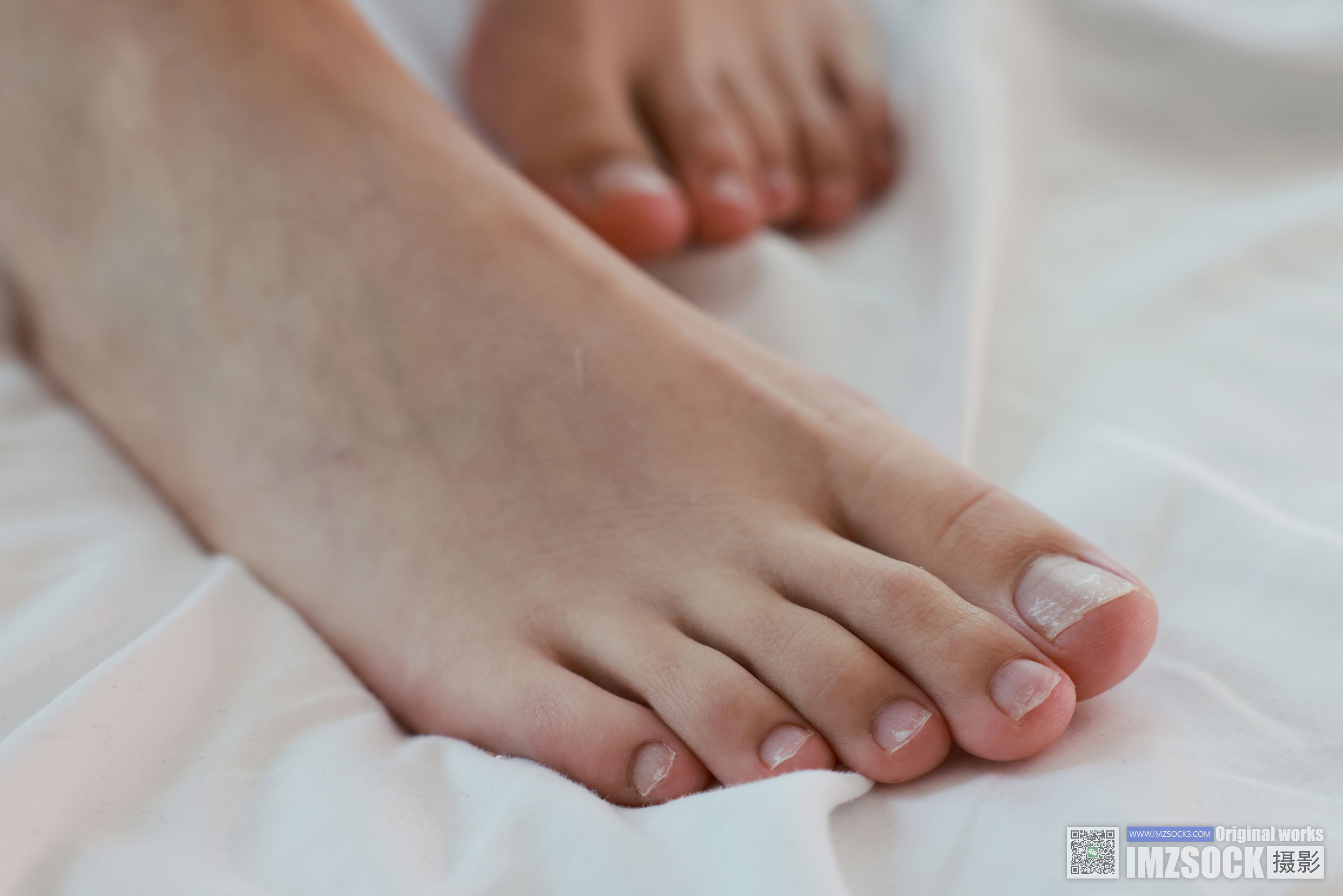 [MZSOCK]爱美足 No.242 梦瑶/(95P)