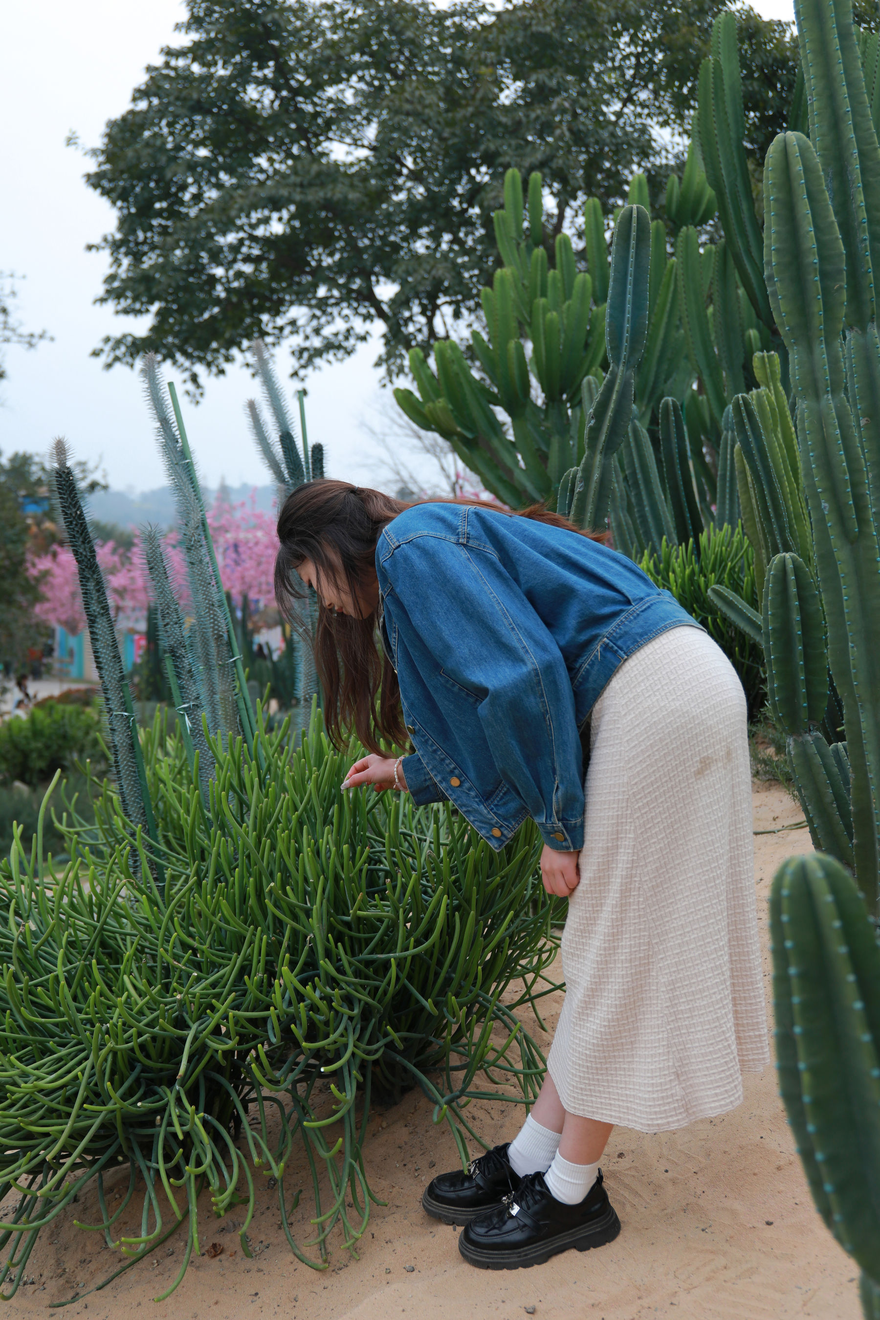 [MZSOCK]爱美足 No.274 小天/(127P)