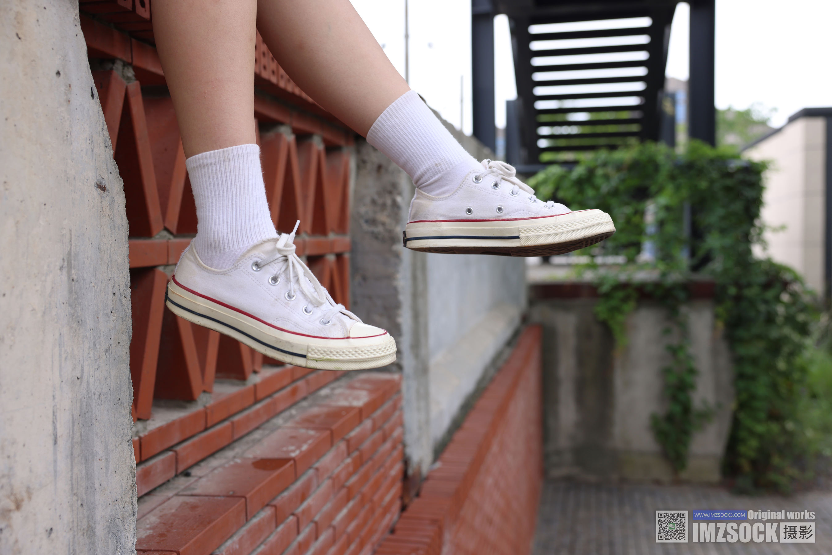 [MZSOCK]爱美足 No.243 香菜/(84P)