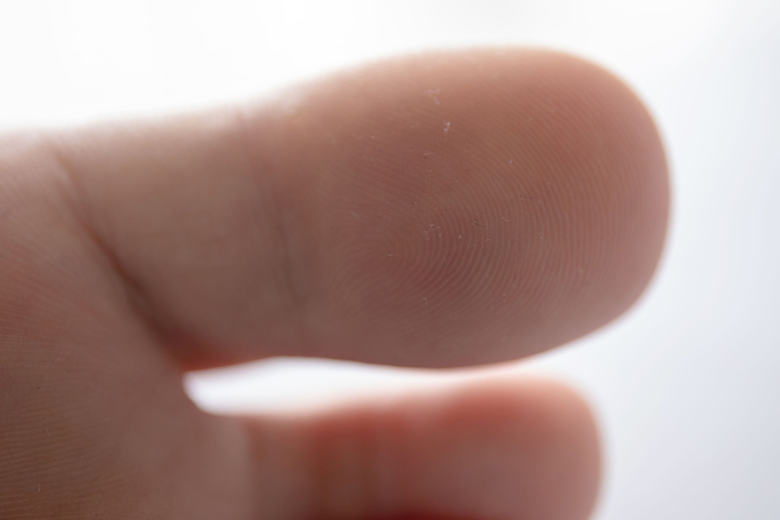 [MZSOCK]爱美足 No.268 美琳/(143P)