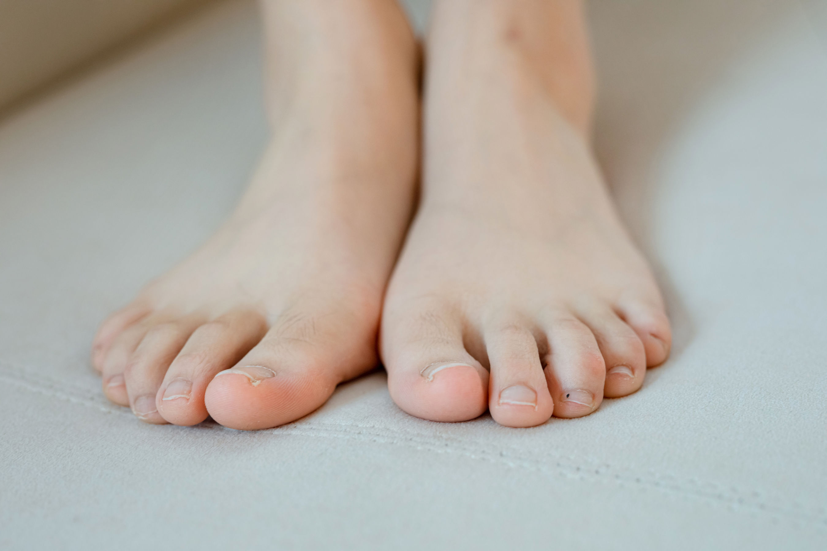 [MZSOCK]爱美足 No.272 天天/(83P)