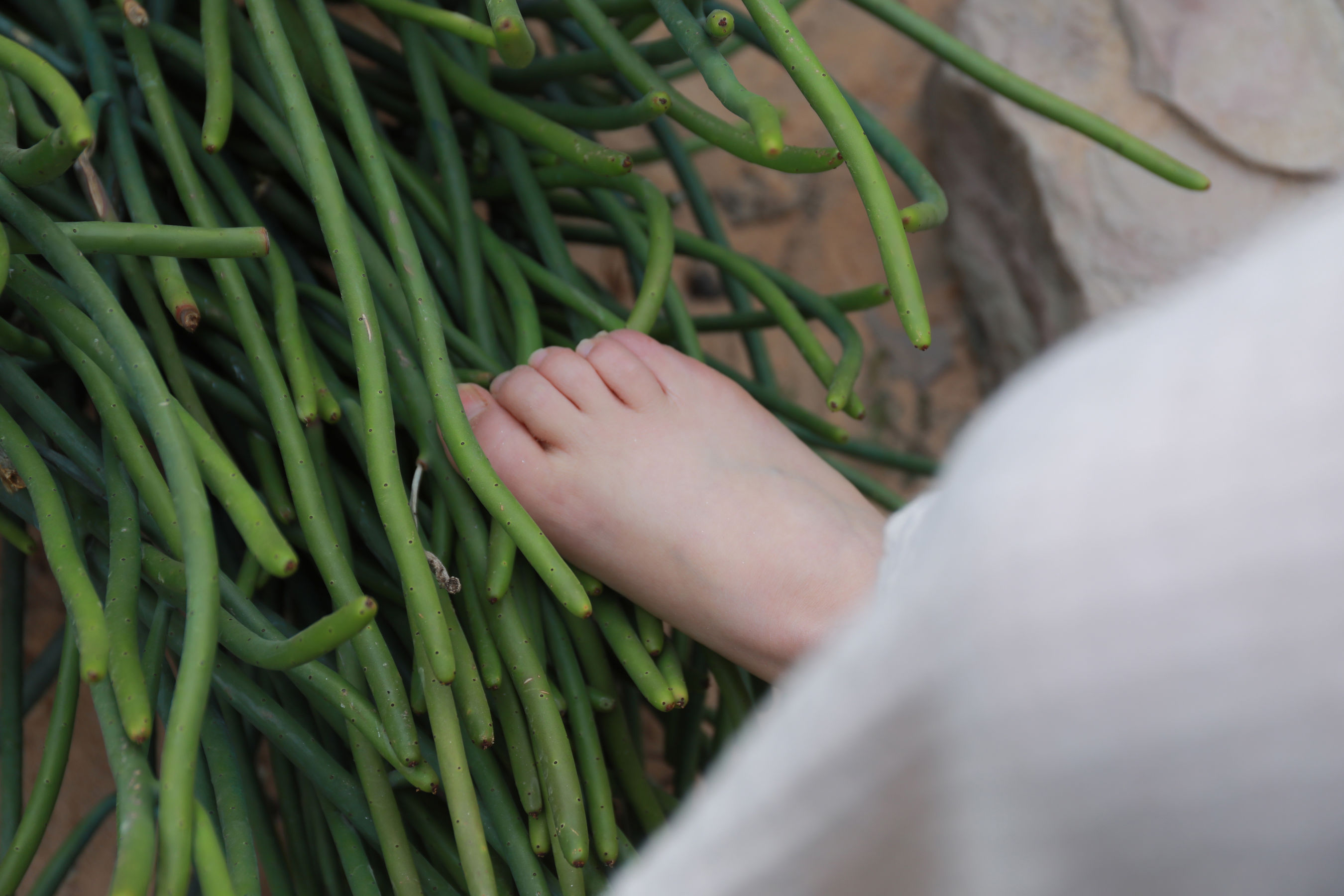 [MZSOCK]爱美足 No.274 小天/(127P)