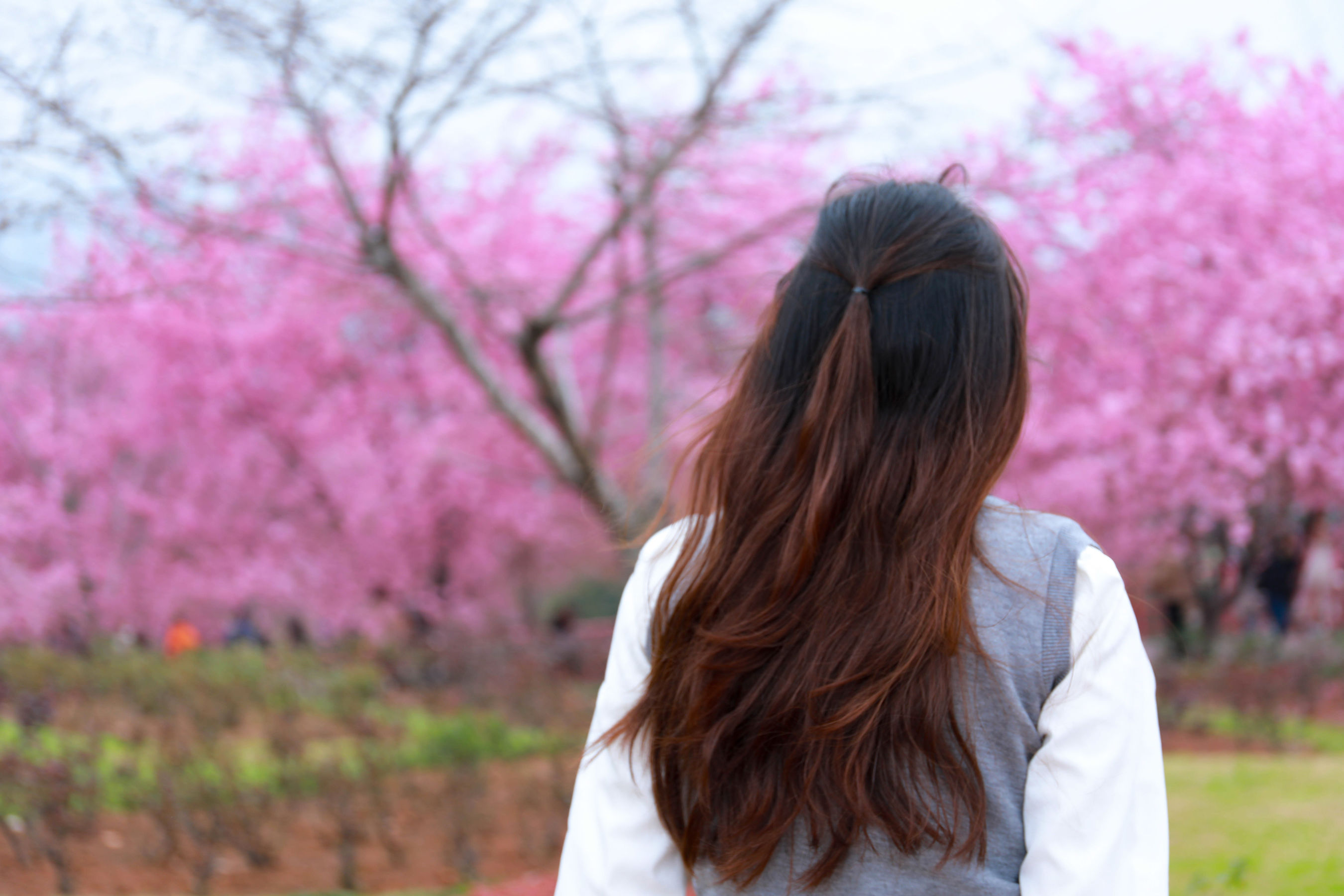 [MZSOCK]爱美足 No.273 小天/(104P)