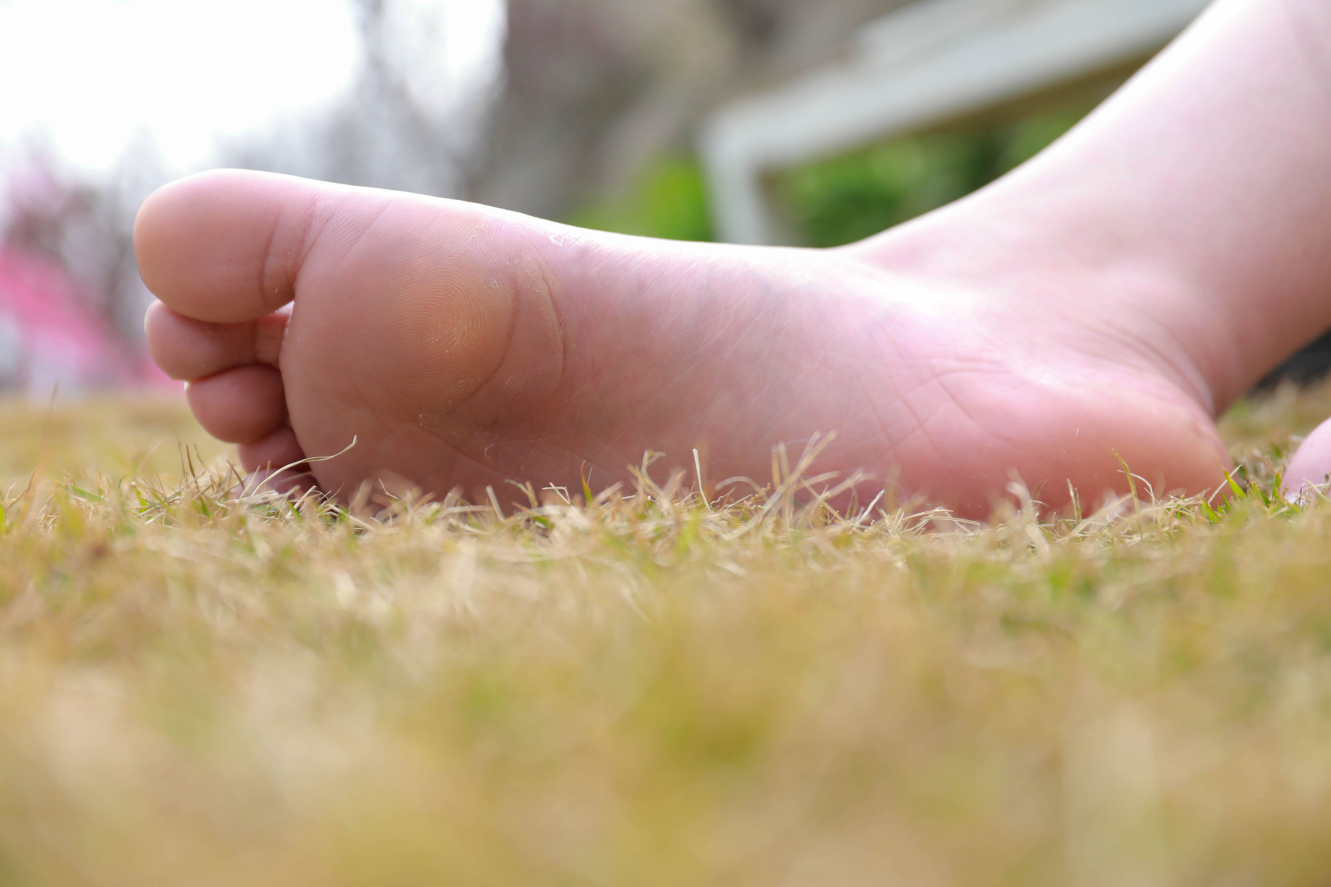 [MZSOCK]爱美足 No.273 小天/(104P)