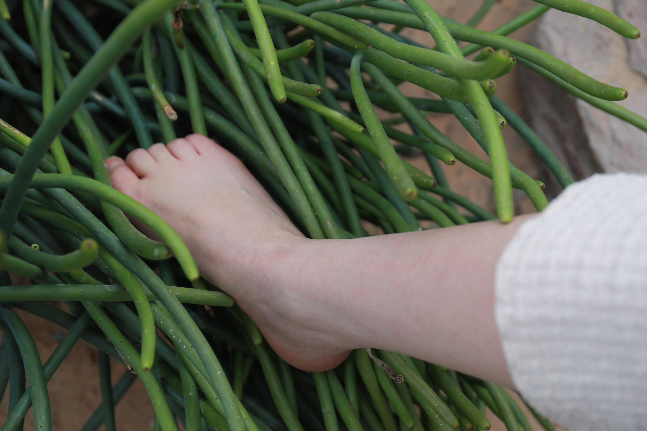 [MZSOCK]爱美足 No.274 小天/(127P)