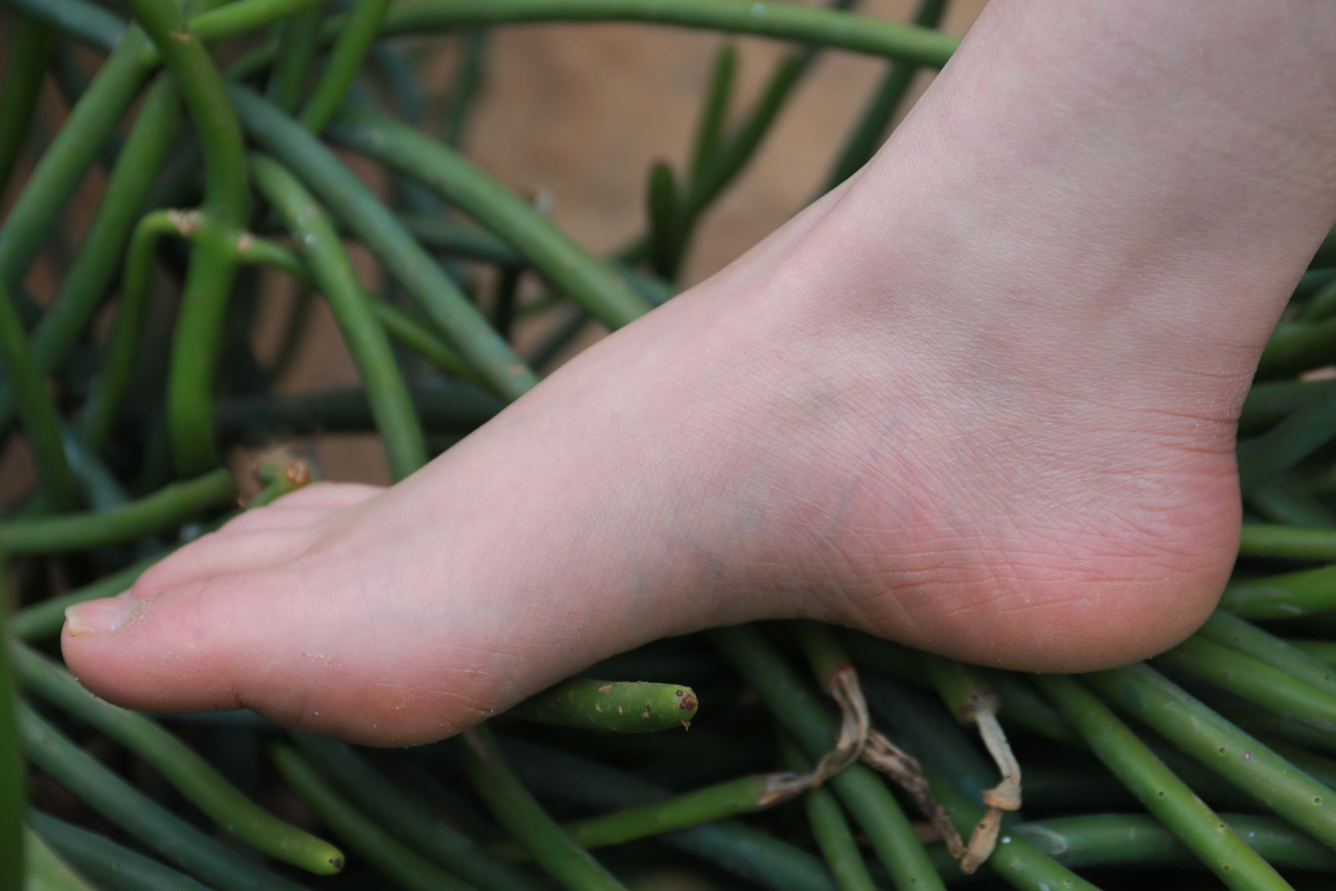 [MZSOCK]爱美足 No.274 小天/(127P)