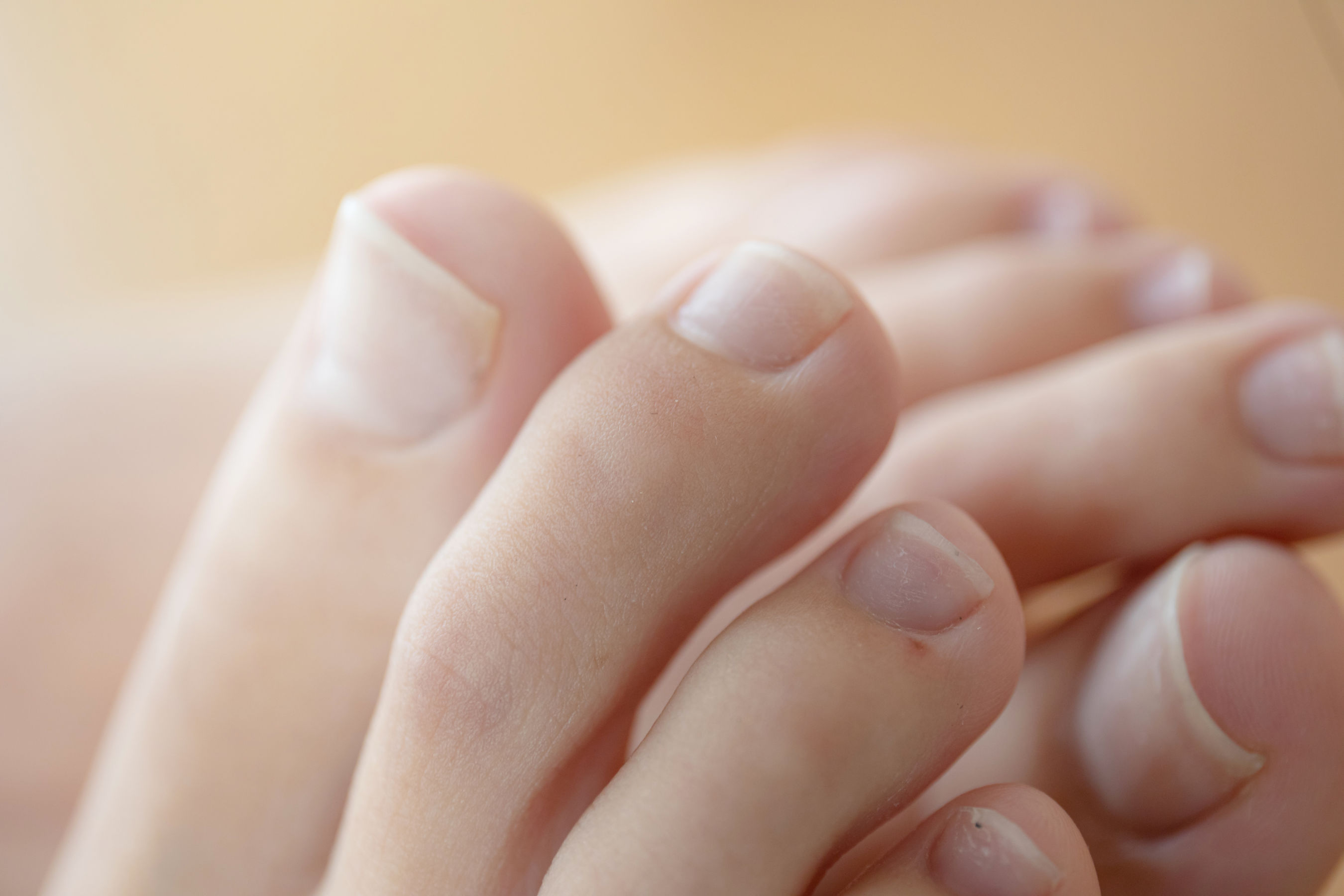 [MZSOCK]爱美足 No.277 安娜/(138P)