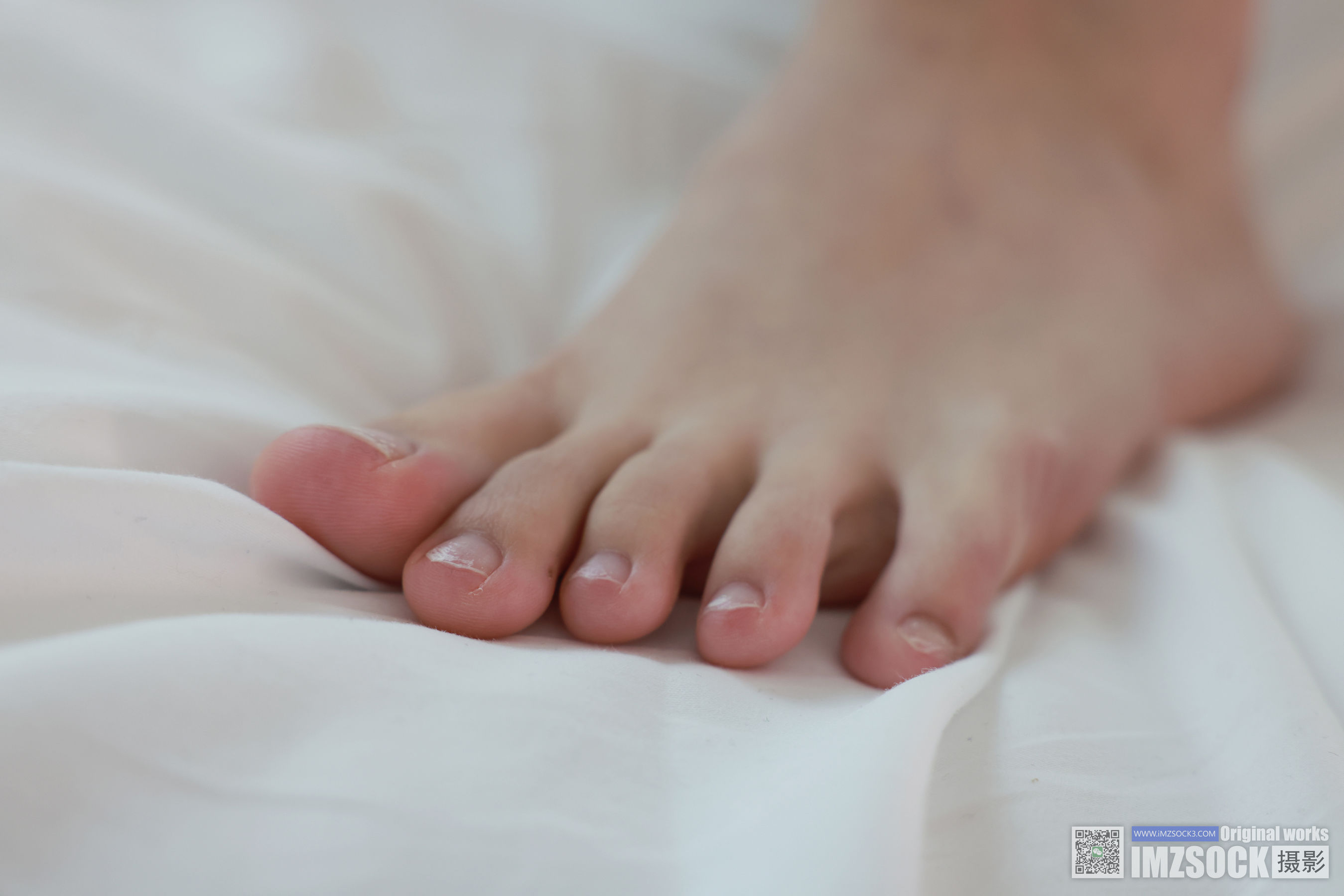 [MZSOCK]爱美足 No.242 梦瑶/(95P)