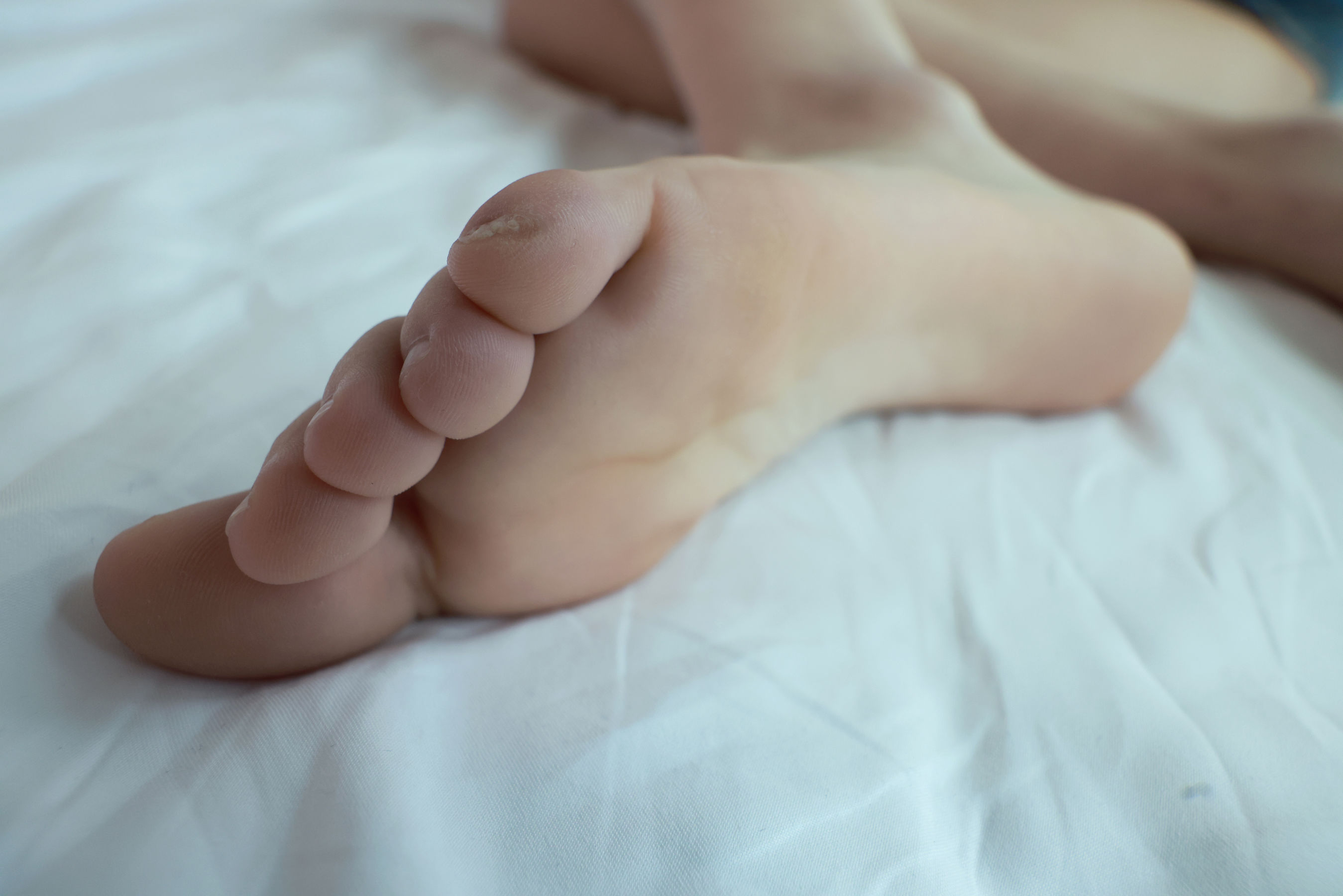 [MZSOCK]爱美足 No.240 迪佳/(80P)