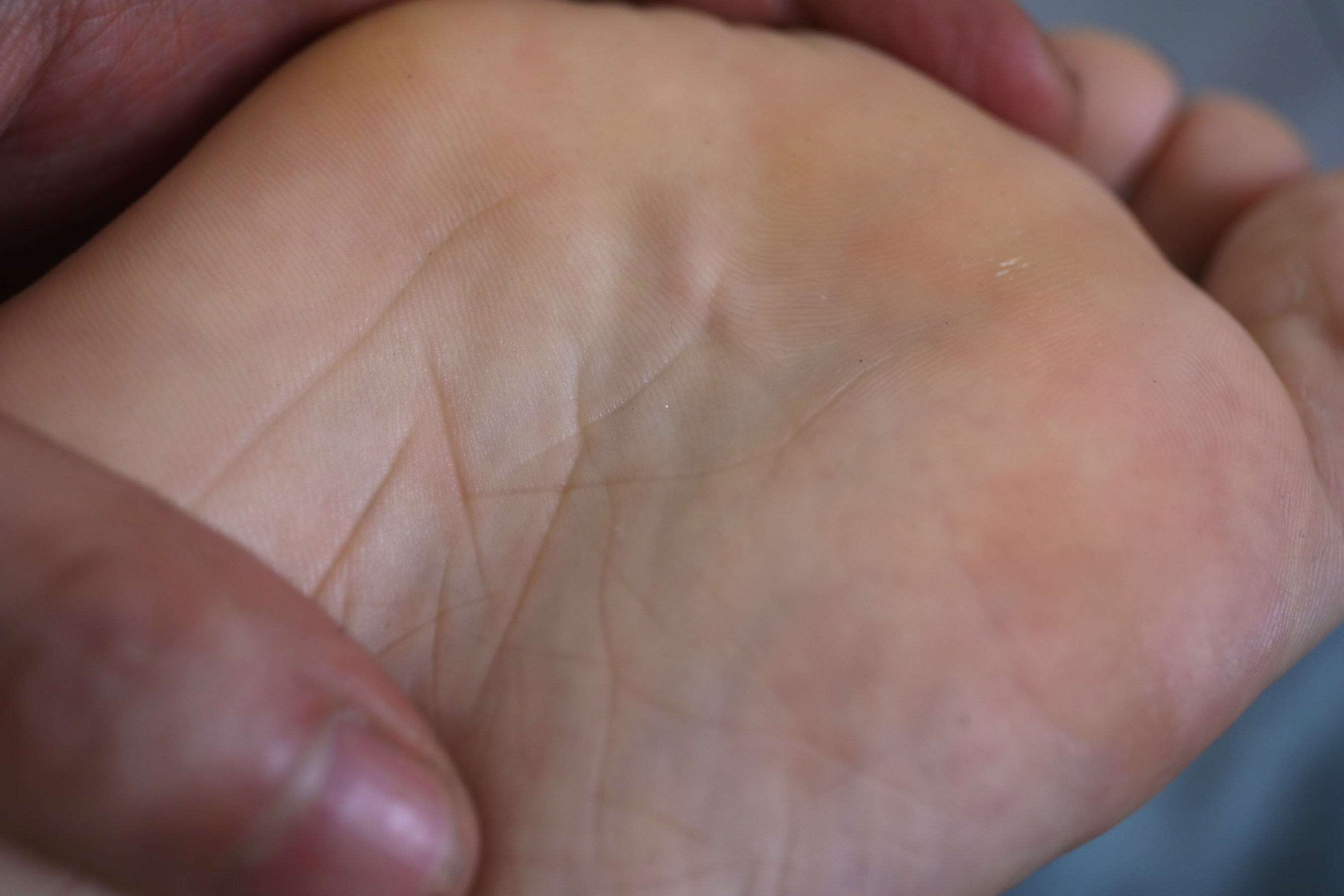 [MZSOCK]爱美足 No.226 小雅/(226P)