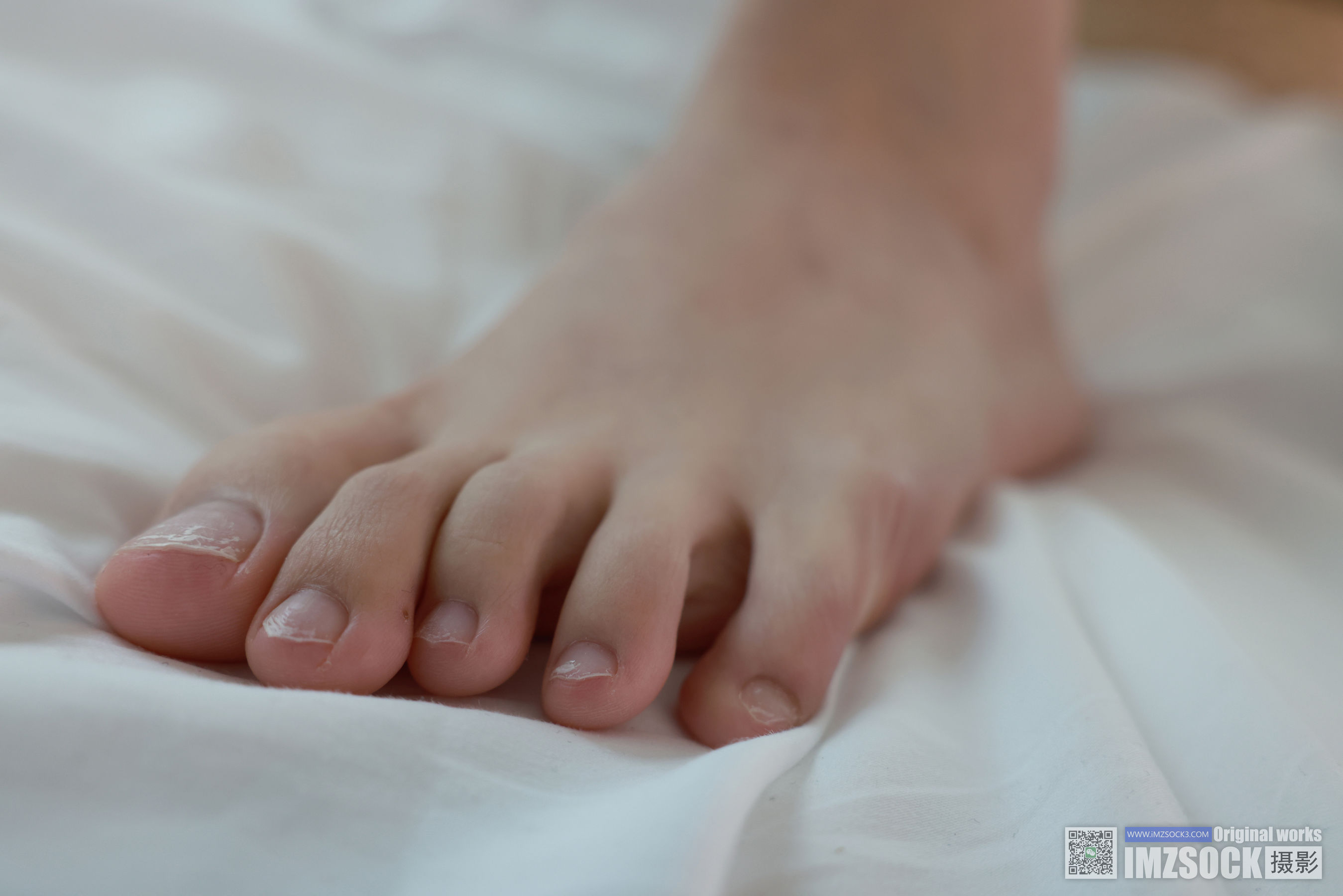 [MZSOCK]爱美足 No.242 梦瑶/(95P)