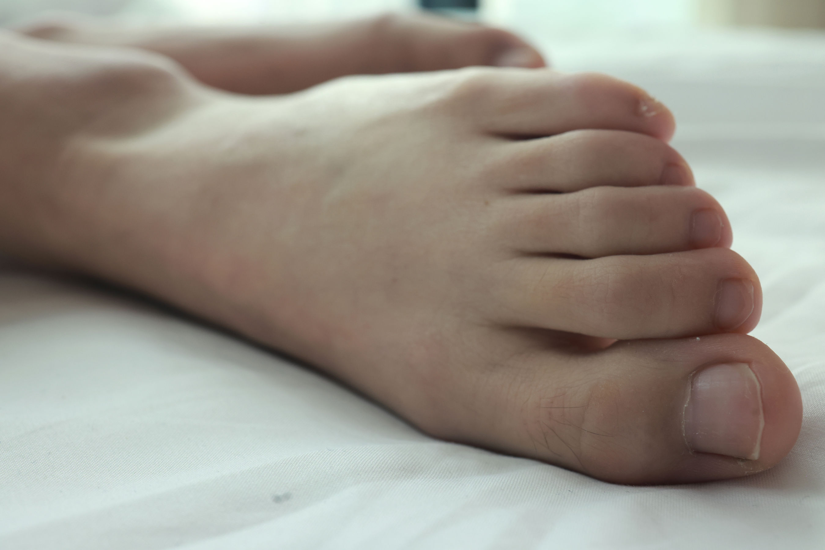 [MZSOCK]爱美足 No.240 迪佳/(80P)