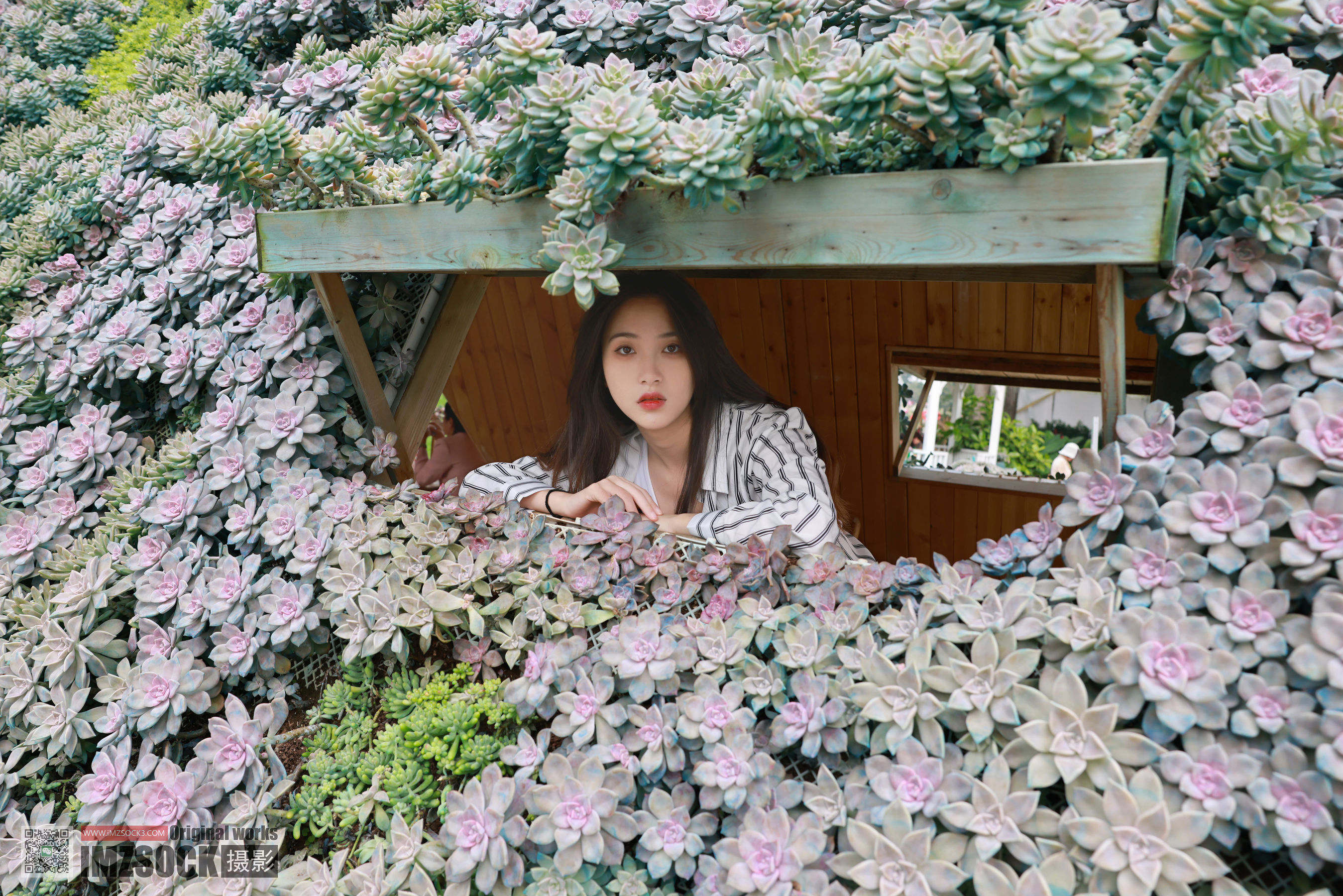 [MZSOCK]爱美足 No.252 迪佳/(79P)