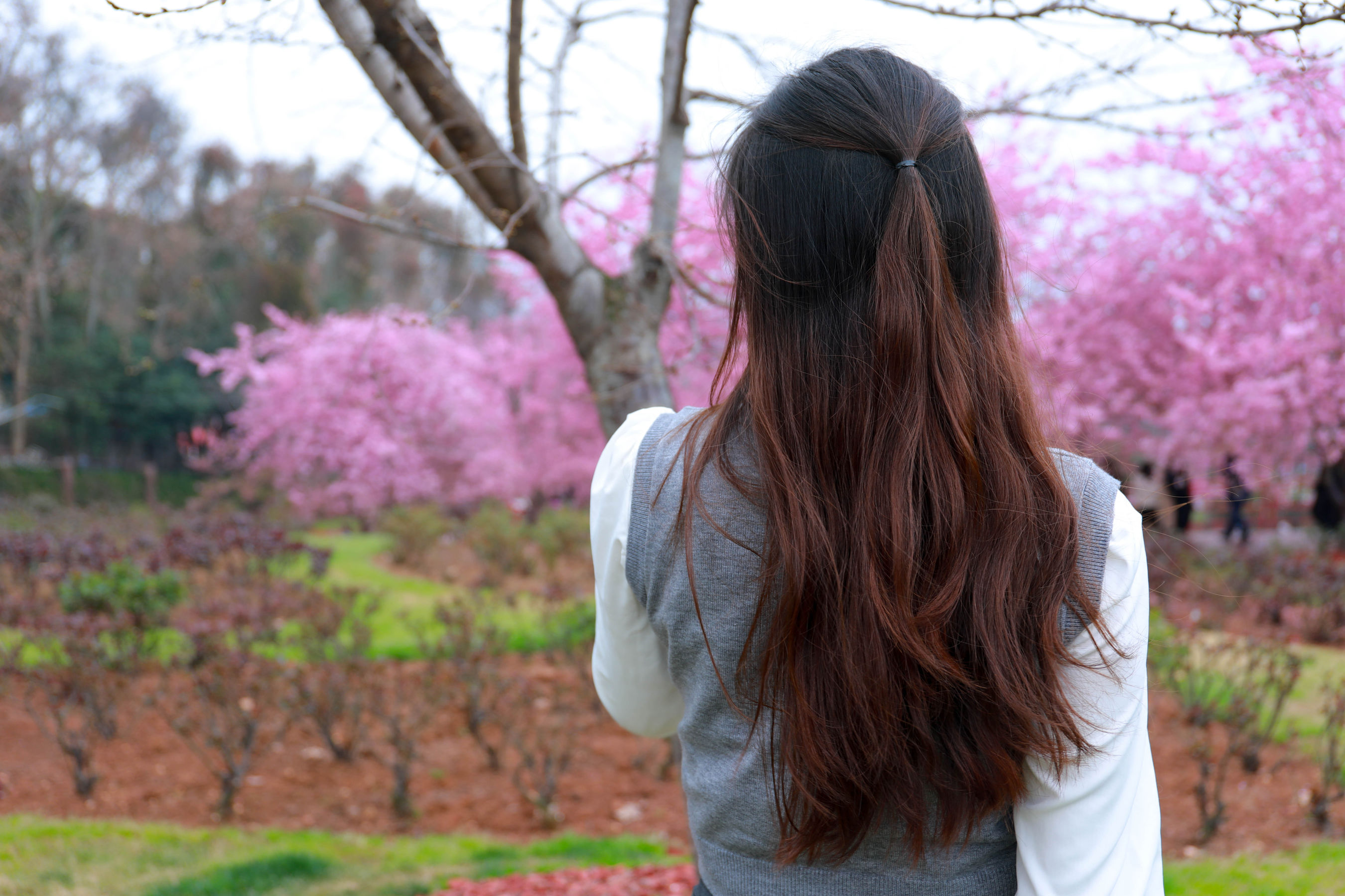 [MZSOCK]爱美足 No.273 小天/(104P)