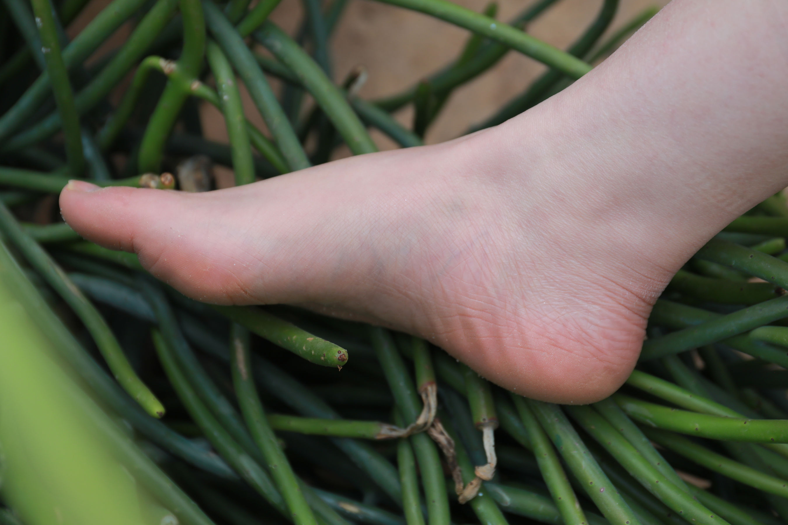 [MZSOCK]爱美足 No.274 小天/(127P)