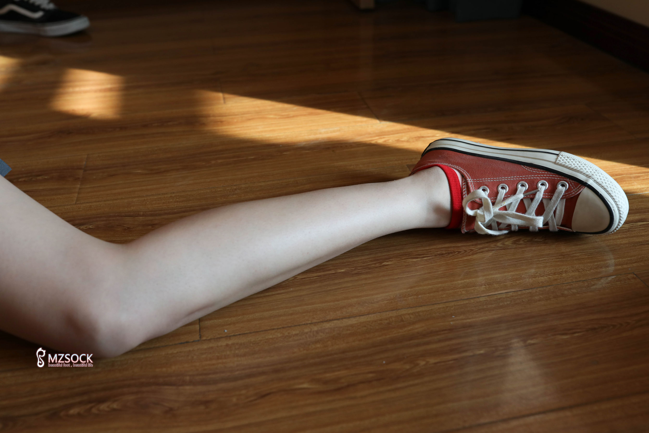 [MZSOCK]爱美足 No.170 悦悦/(101P)