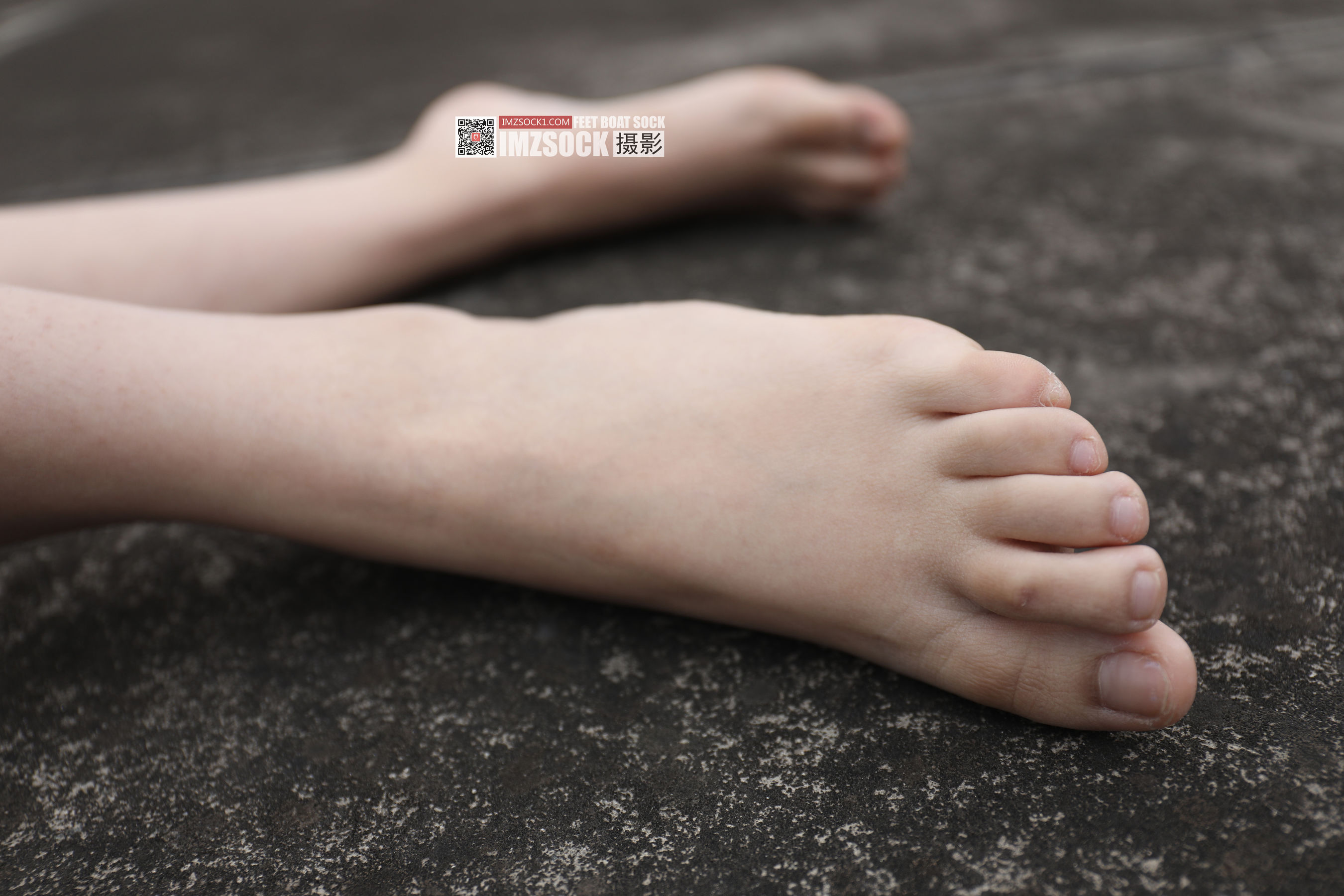 [MZSOCK]爱美足 No.219 君君/(83P)