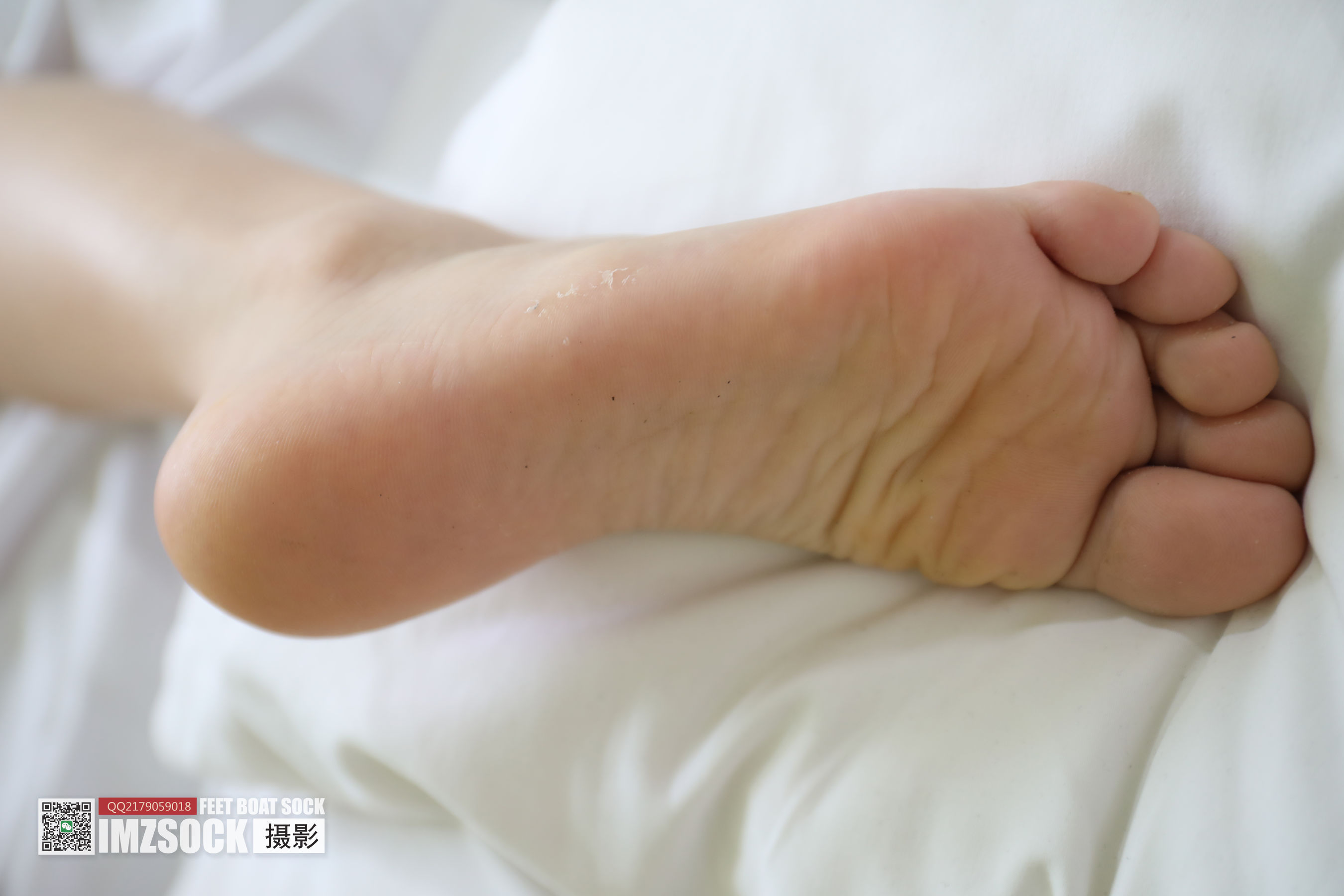 [MZSOCK]爱美足 No.207 冉冉/(74P)