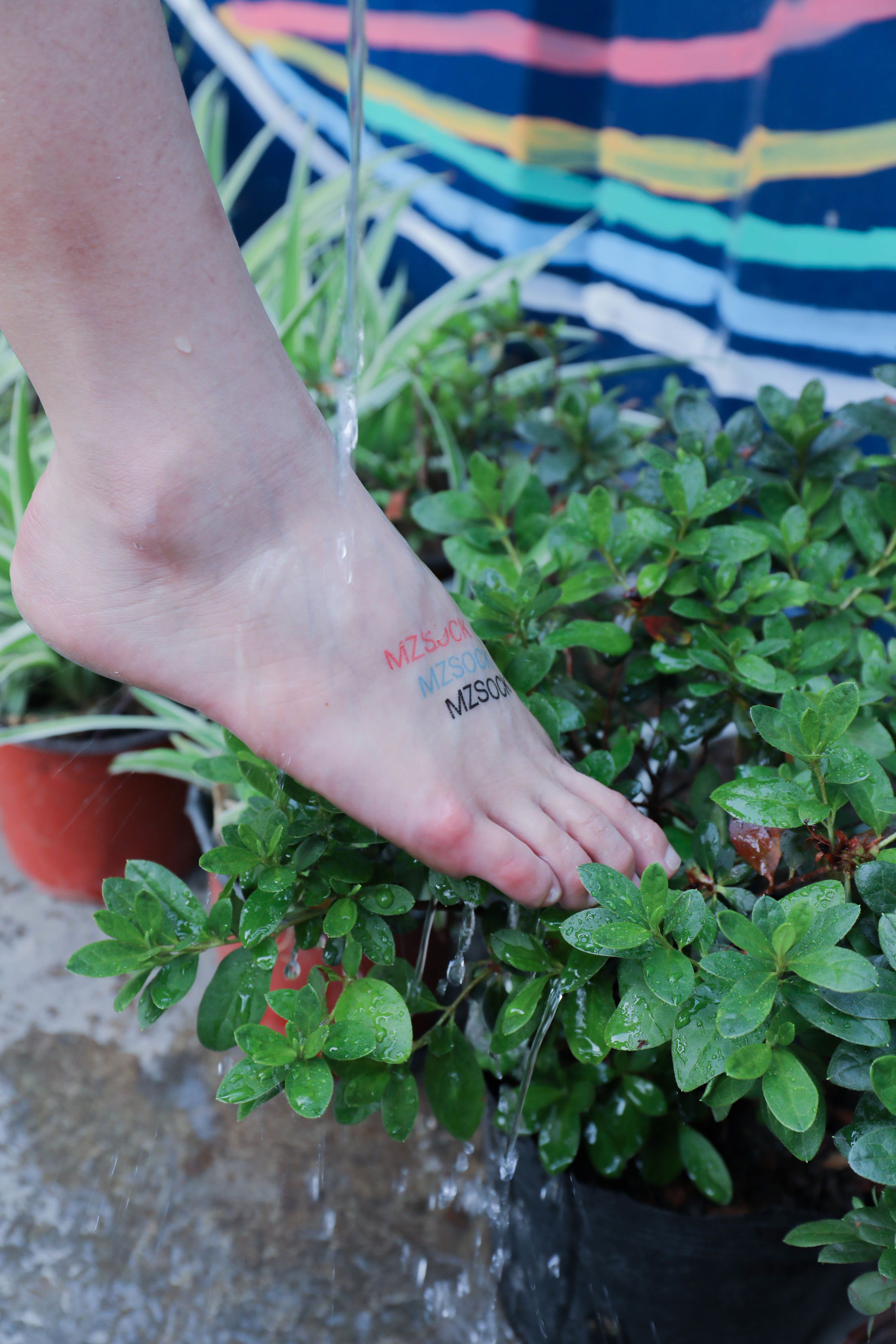 [MZSOCK]爱美足 No.145 可可/(111P)