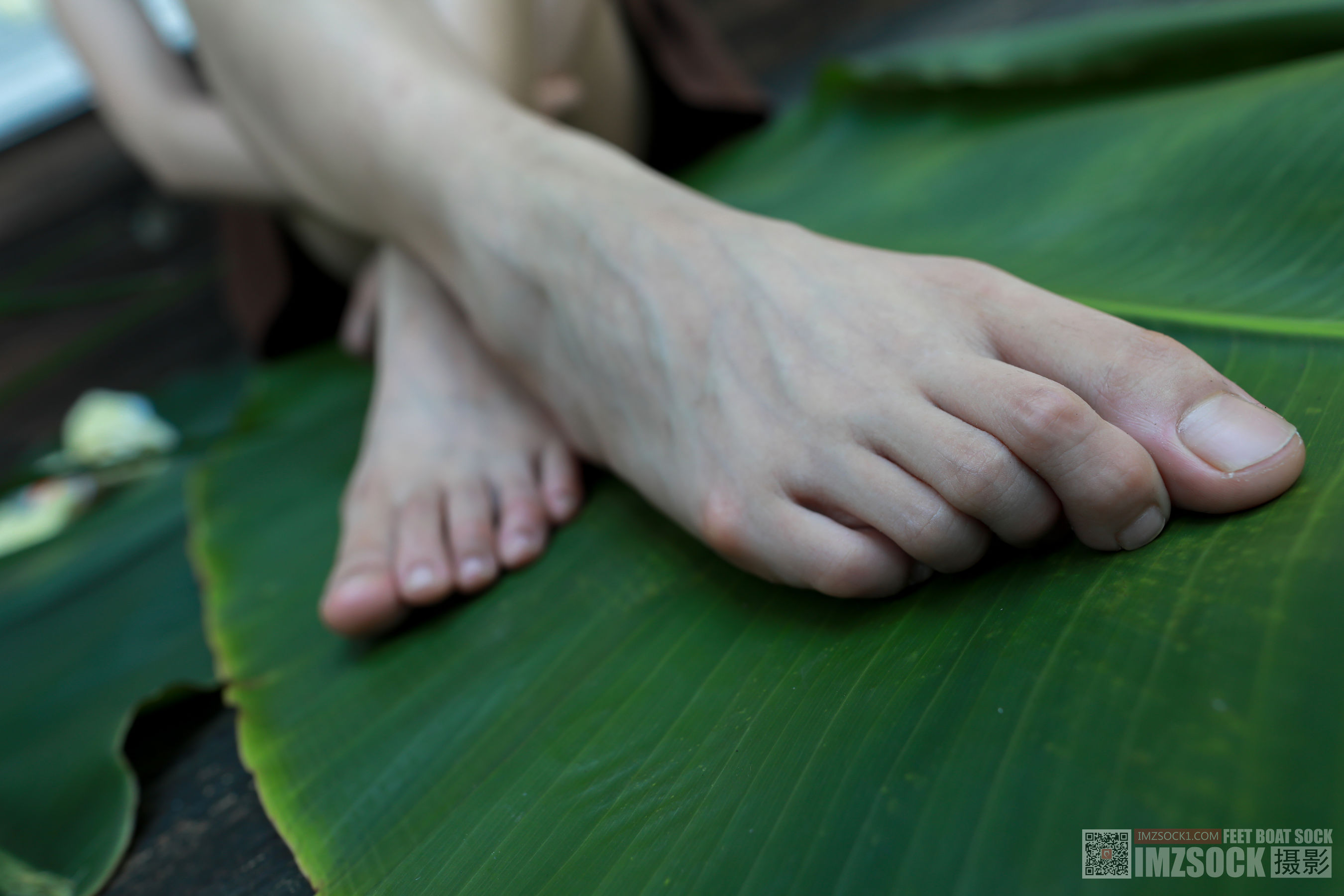 [MZSOCK]爱美足 No.119 可可/(76P)