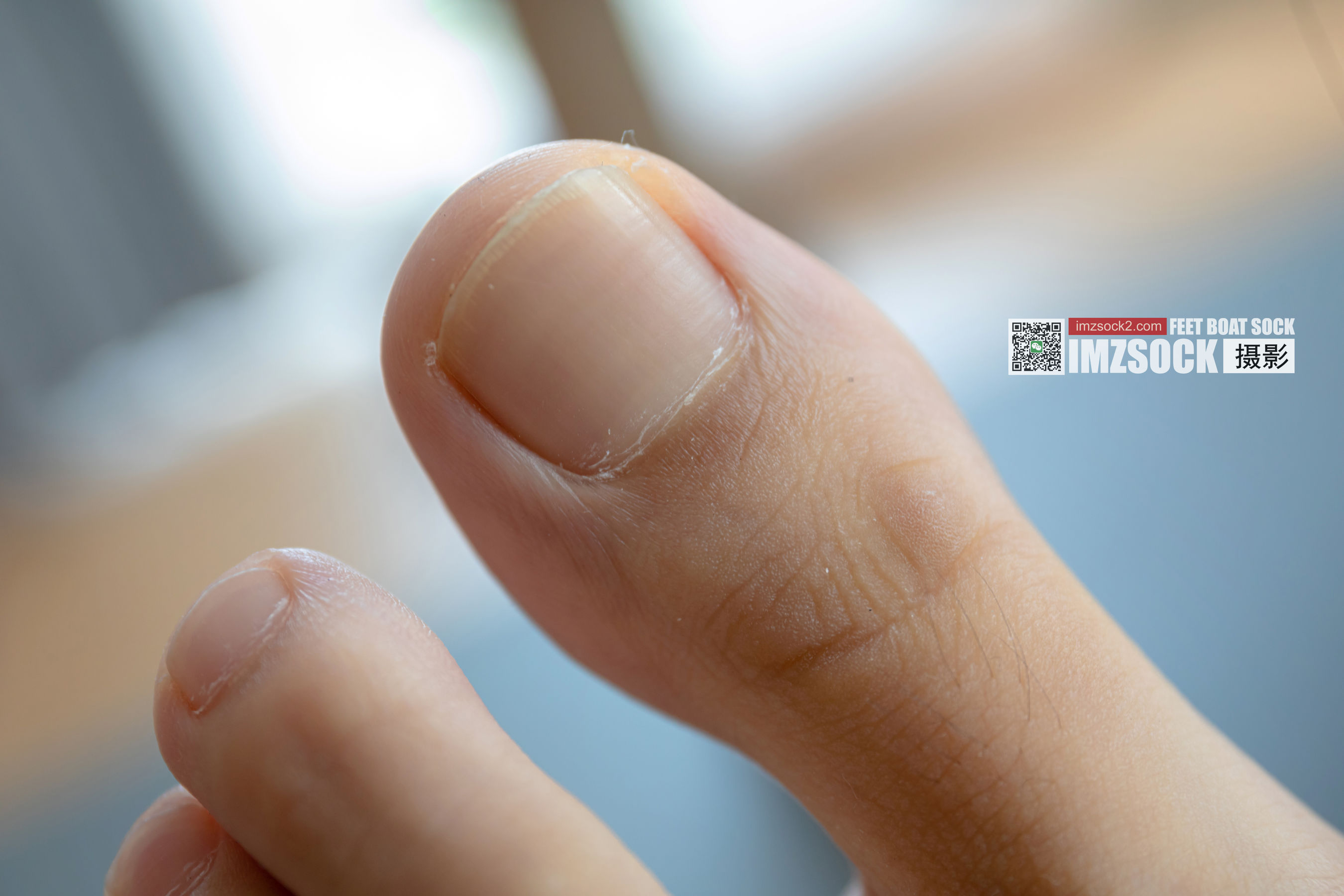 [MZSOCK]爱美足 No.091 可可/(104P)