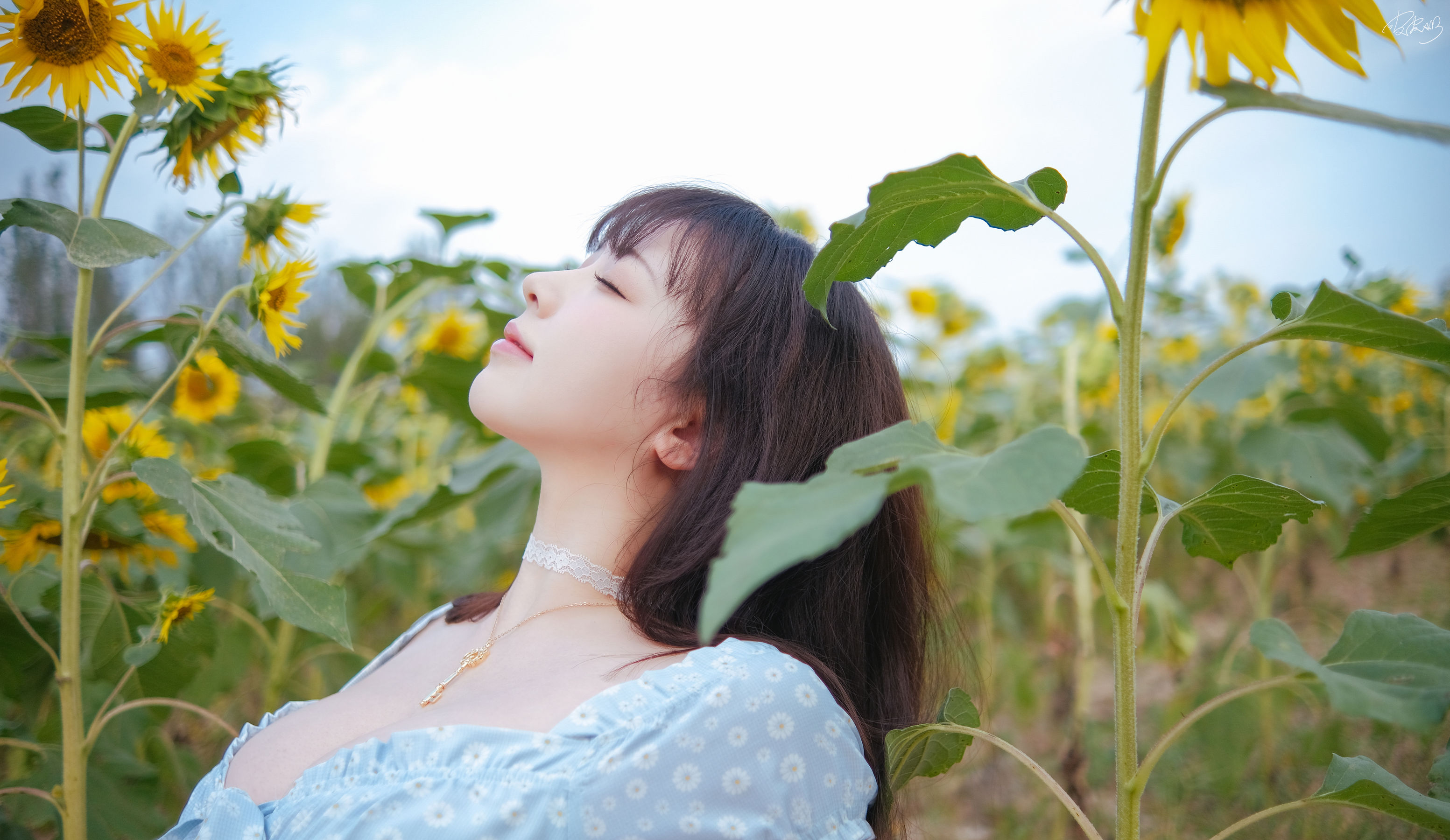 皮皮奶可可爱了啦 - 彼女向日葵/(35P)