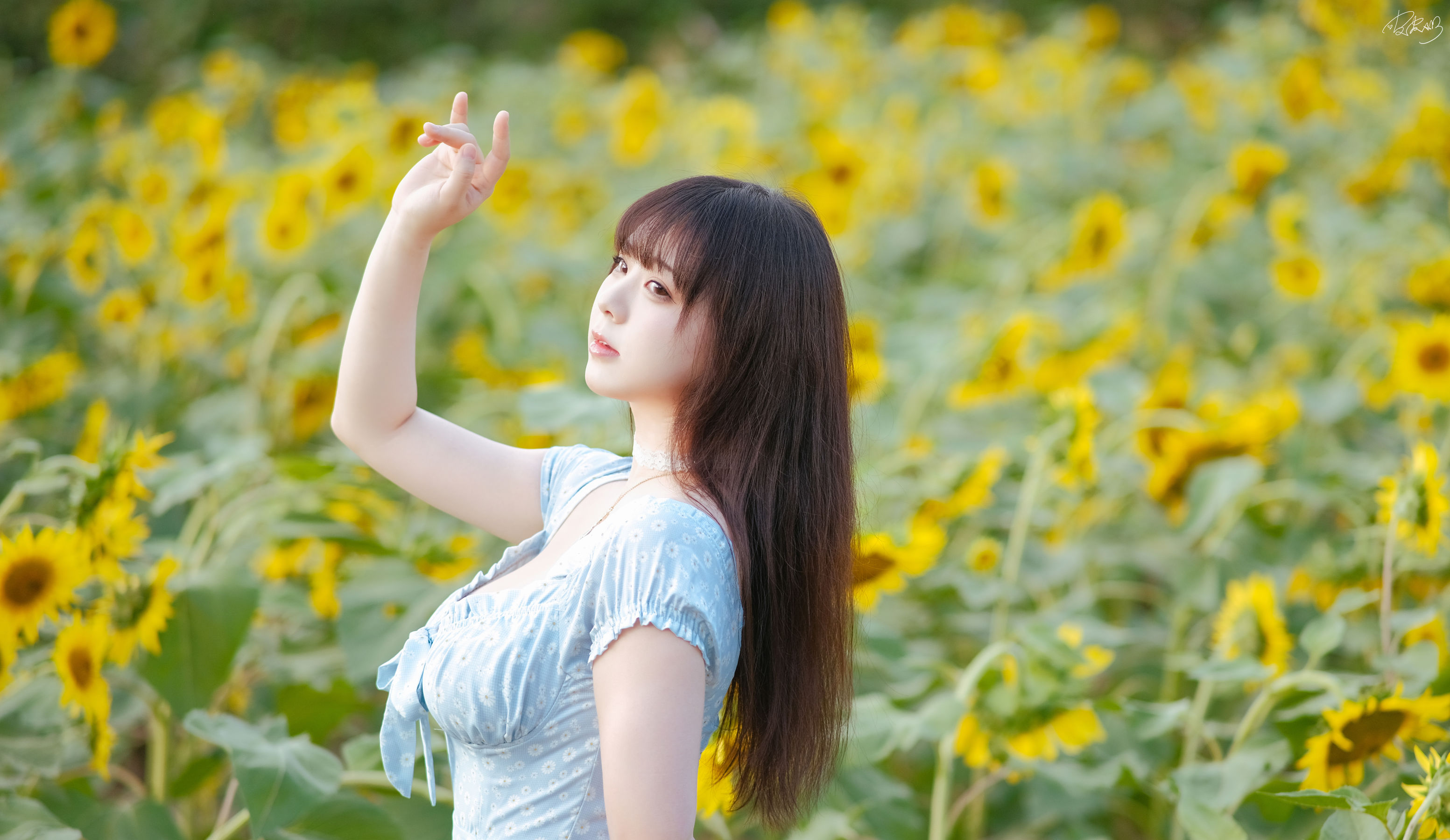 皮皮奶可可爱了啦 - 彼女向日葵/(35P)