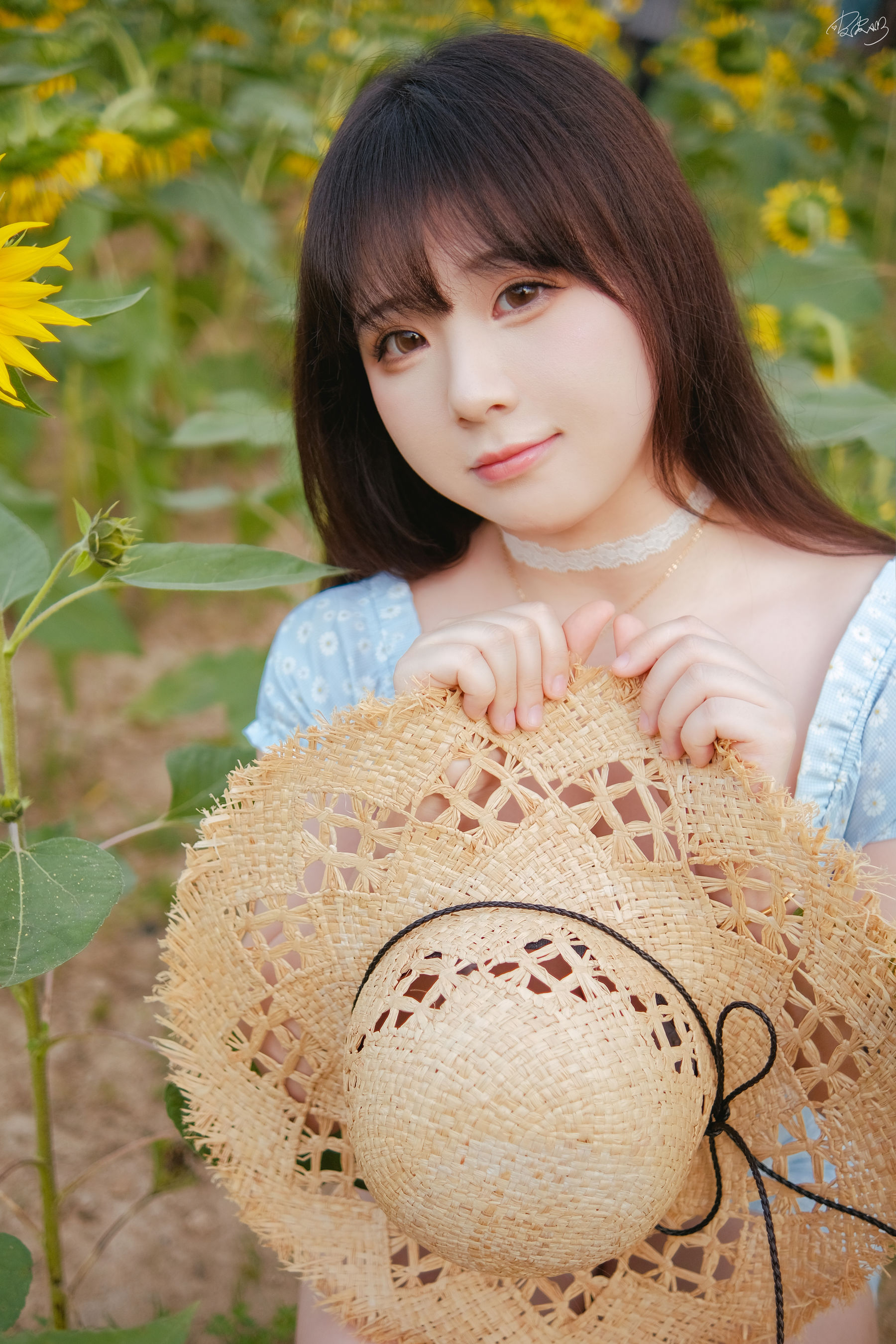 皮皮奶可可爱了啦 - 彼女向日葵/(35P)