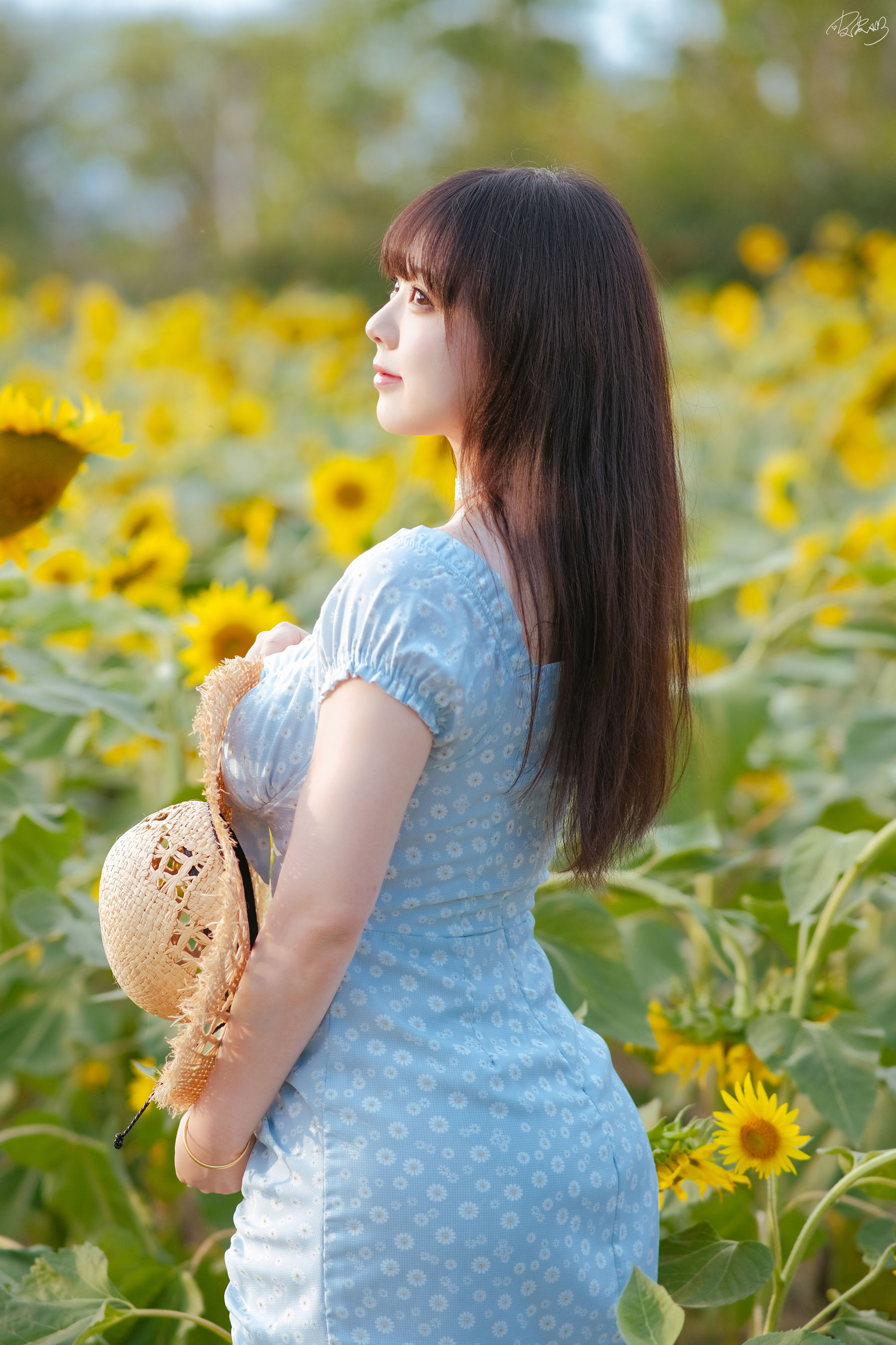 皮皮奶可可爱了啦 - 彼女向日葵/(35P)