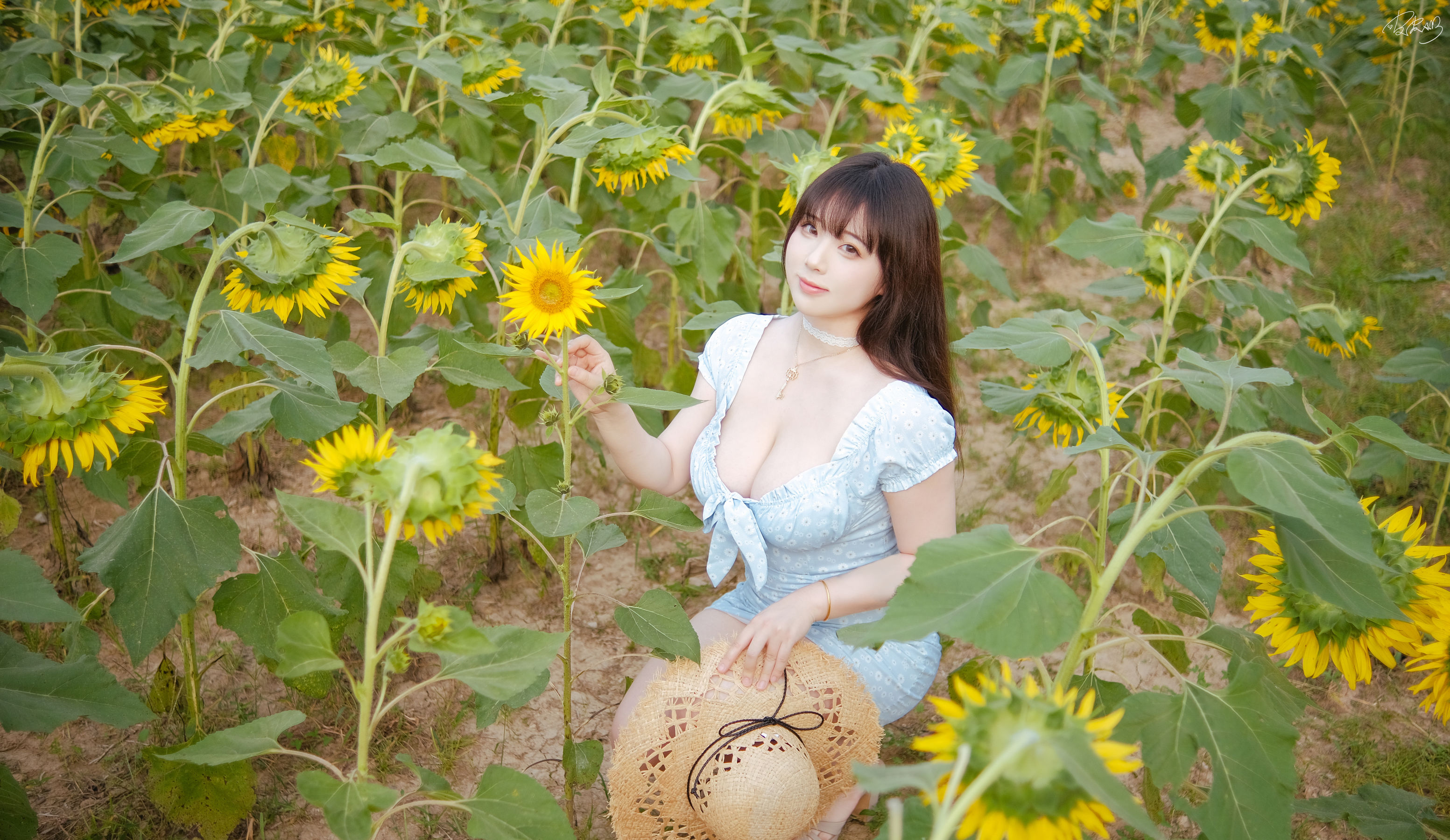 皮皮奶可可爱了啦 - 彼女向日葵/(35P)