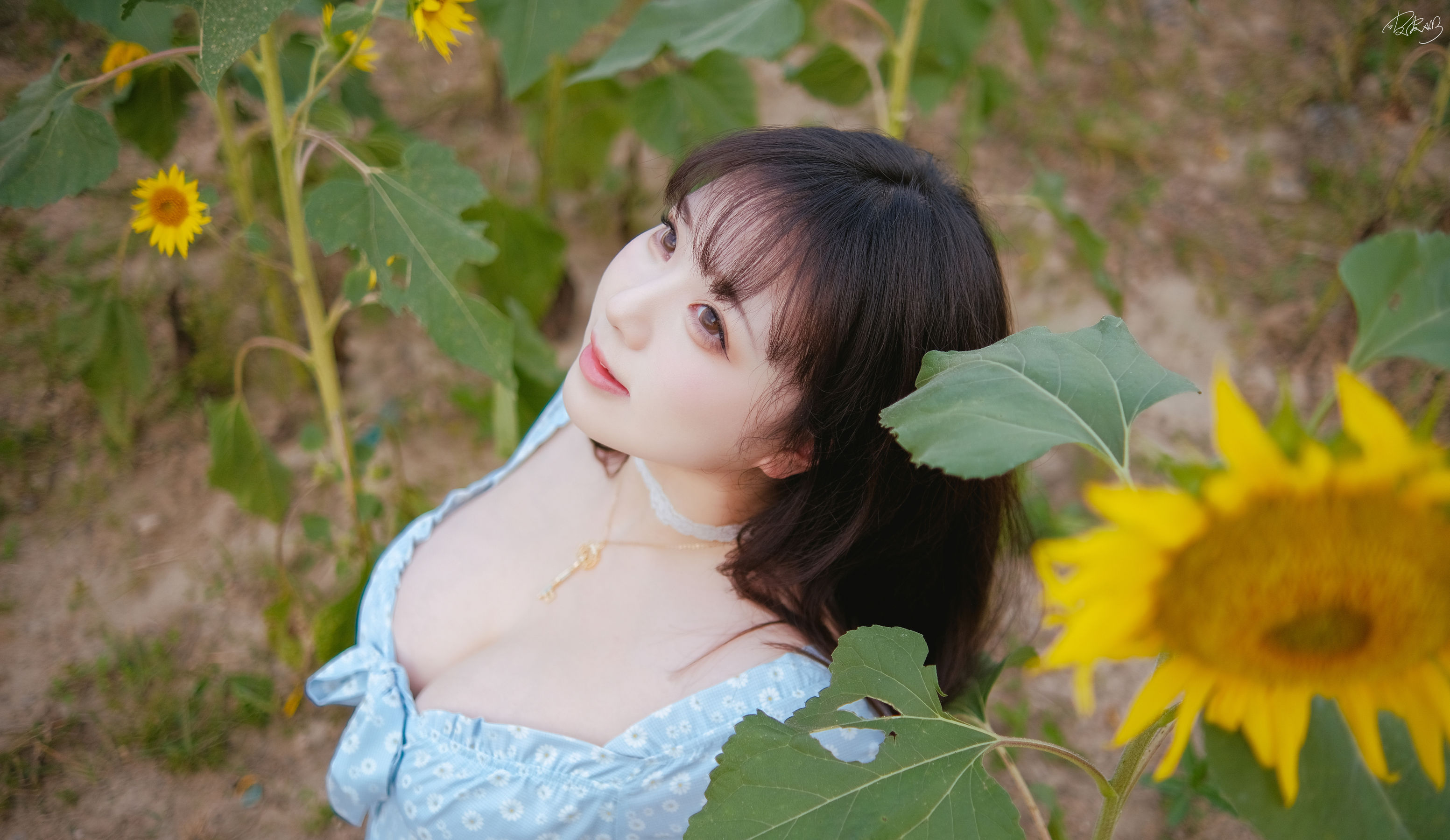 皮皮奶可可爱了啦 - 彼女向日葵/(35P)