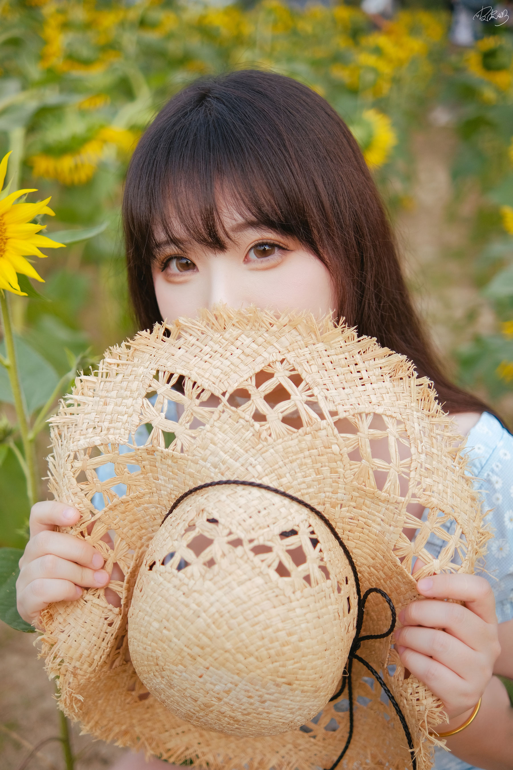 皮皮奶可可爱了啦 - 彼女向日葵/(35P)