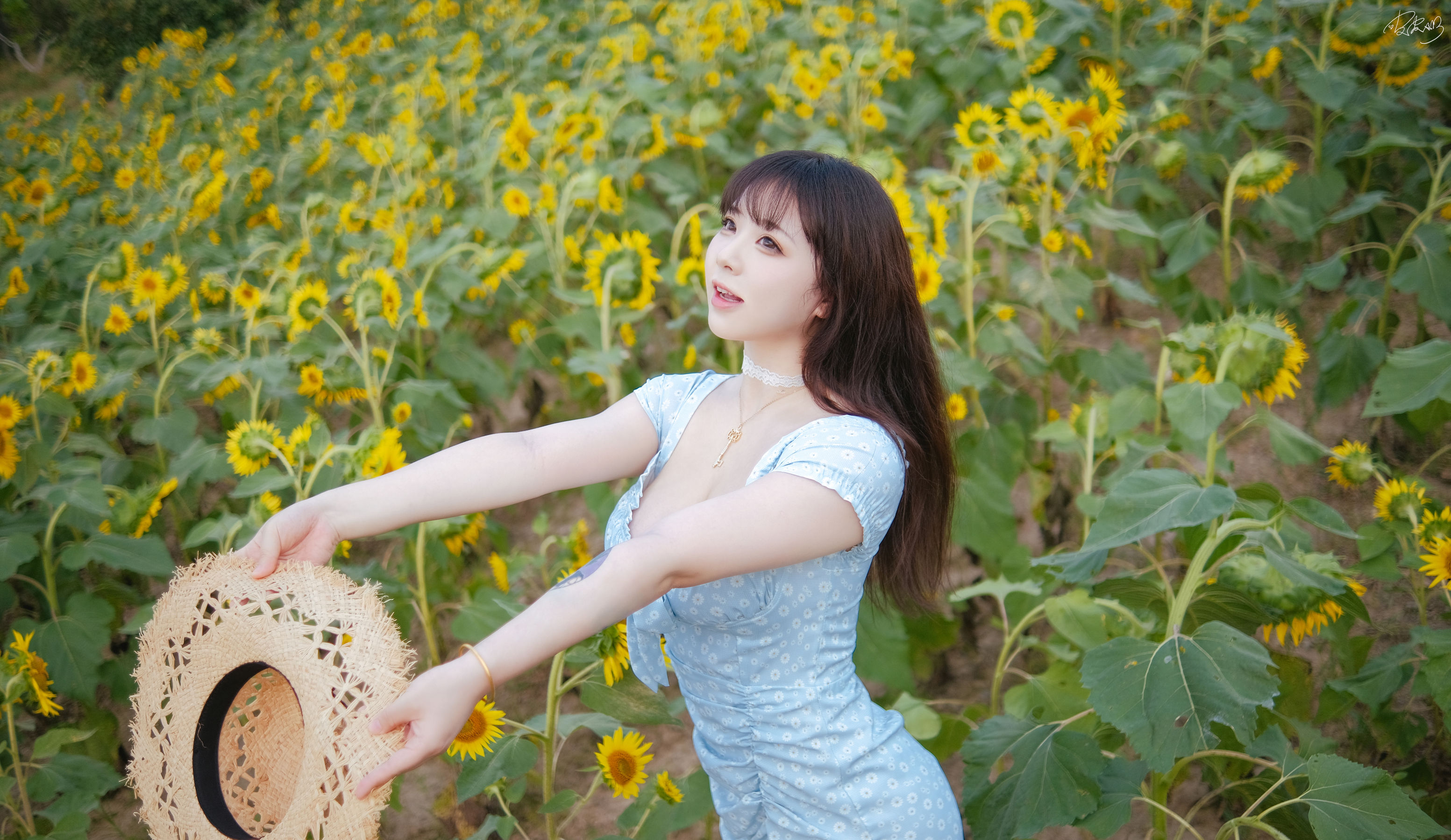 皮皮奶可可爱了啦 - 彼女向日葵/(35P)