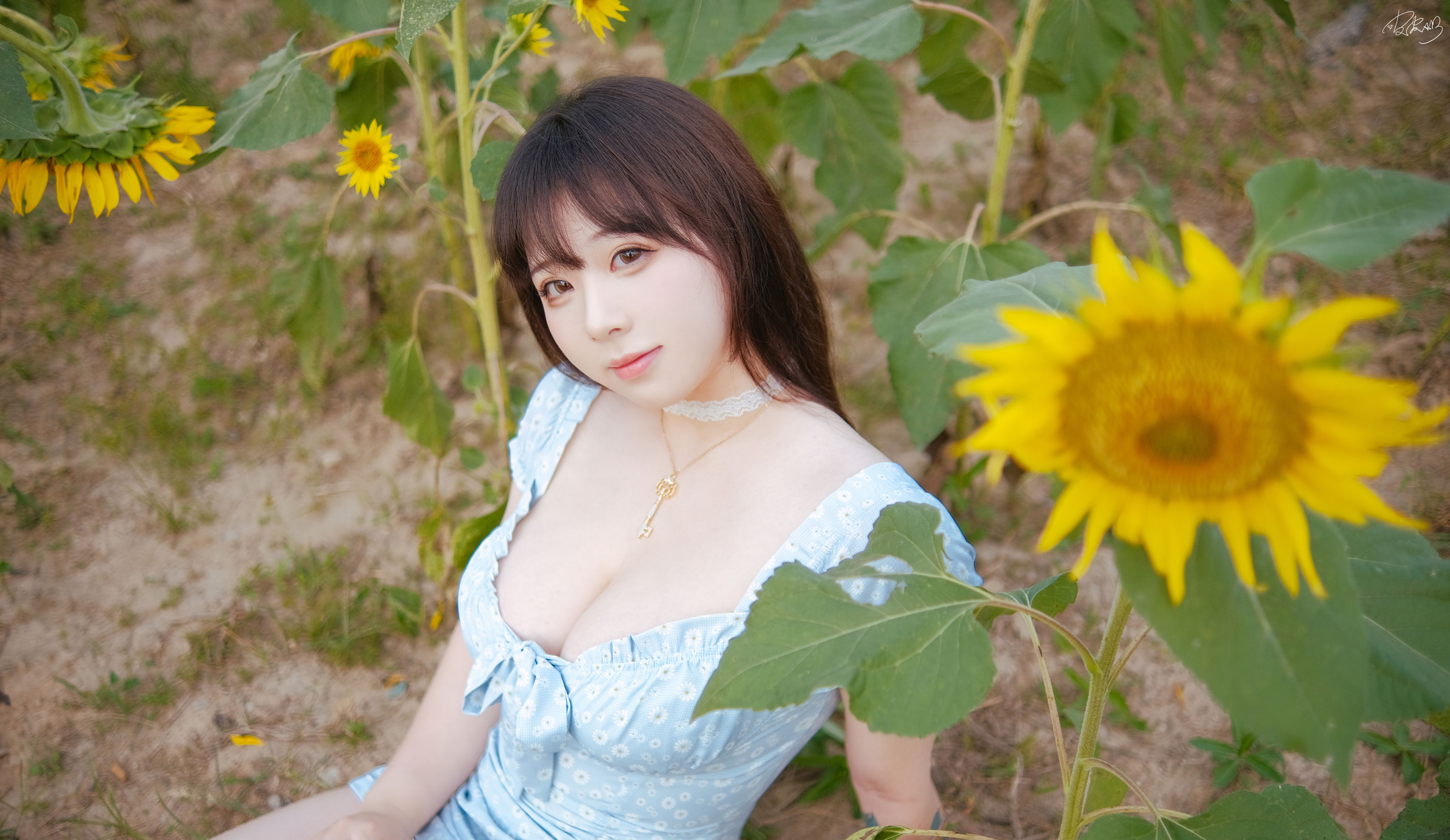 皮皮奶可可爱了啦 - 彼女向日葵/(35P)