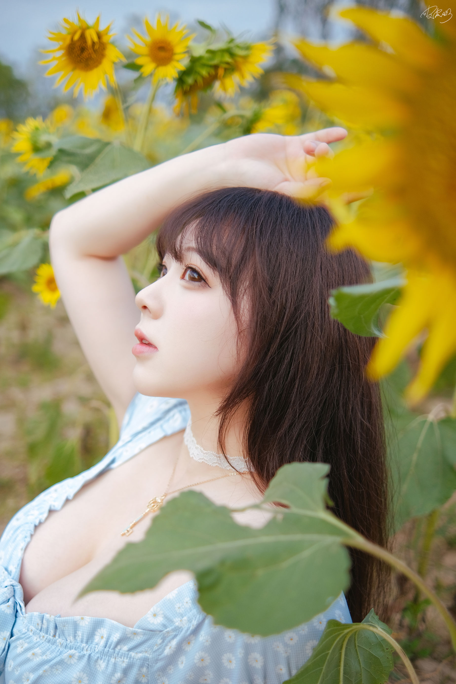 皮皮奶可可爱了啦 - 彼女向日葵/(35P)