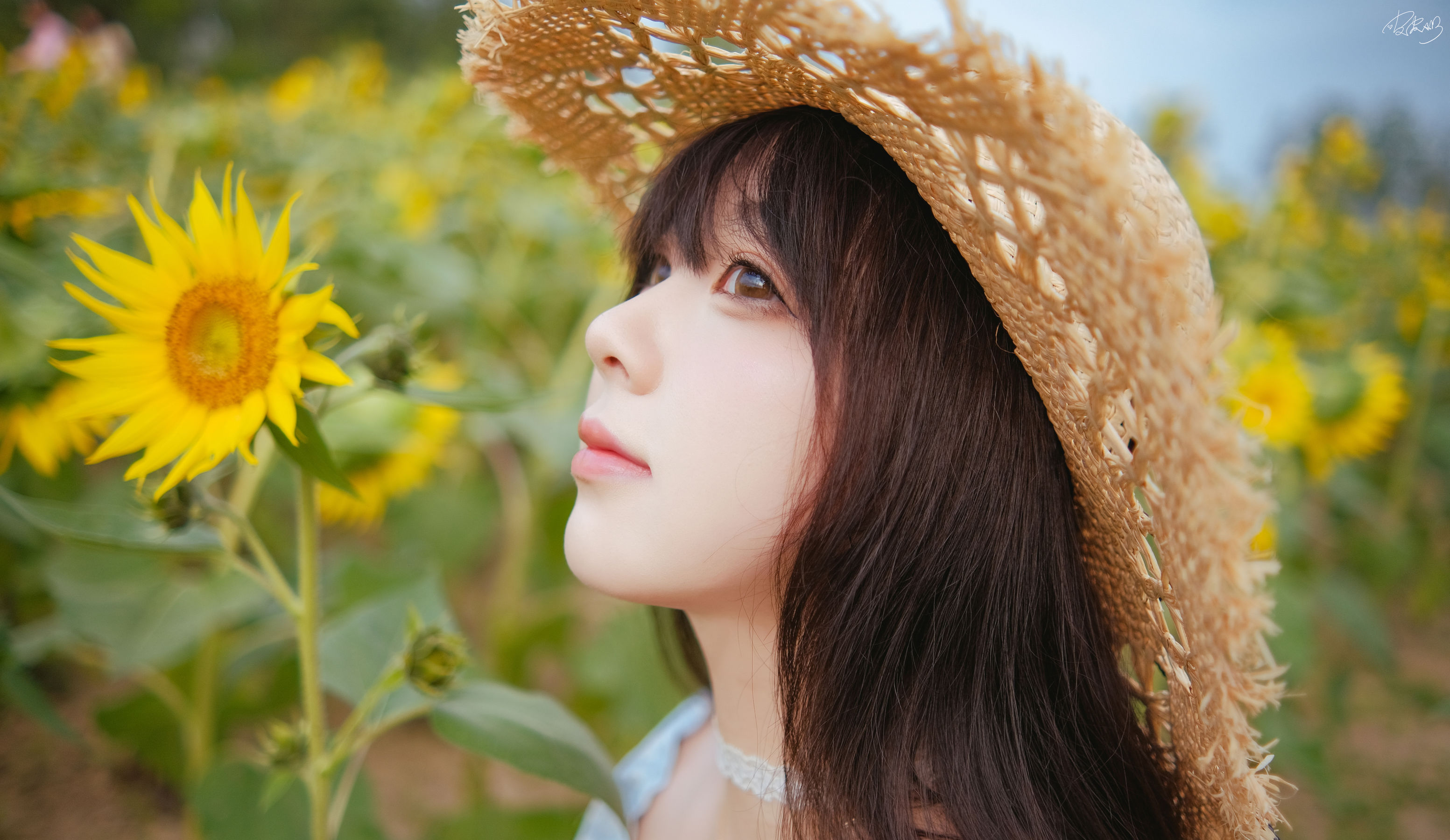 皮皮奶可可爱了啦 - 彼女向日葵/(35P)