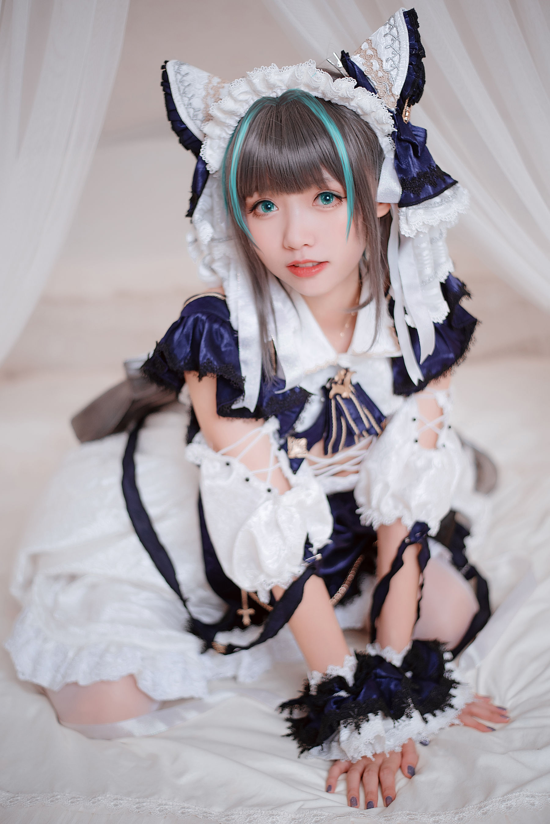 动漫博主大大卷卷小卷 - 碧蓝航线 柴郡/(23P)