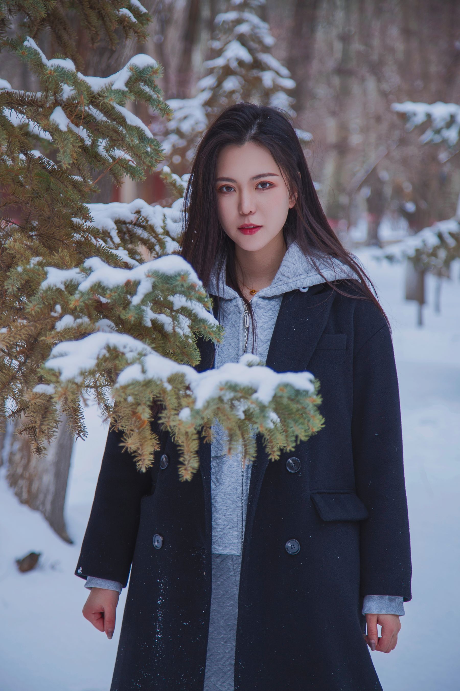 [织梦映像] 踏雪无痕-首次雪景拍摄，天寒地冻/(300P)