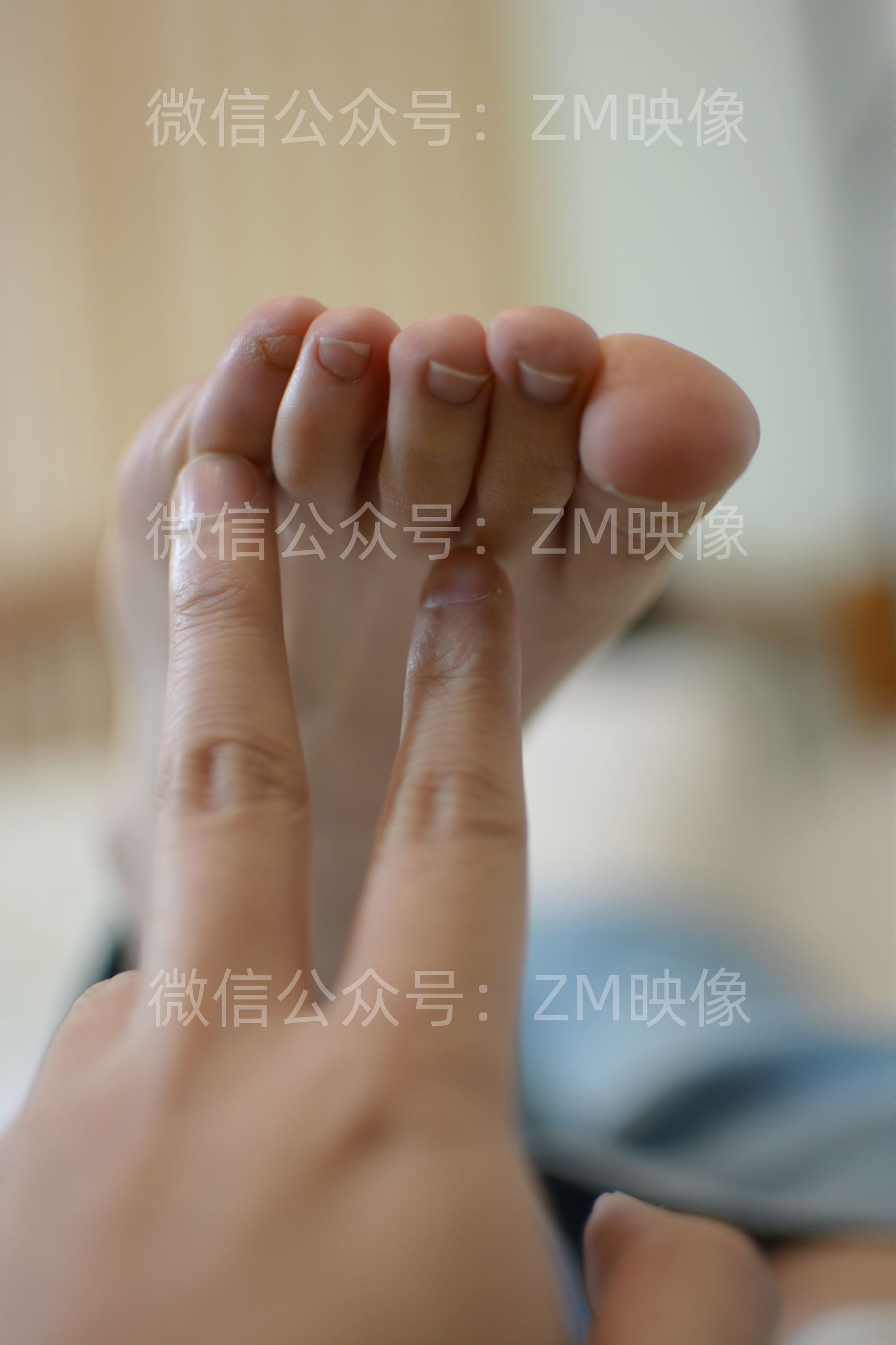 [织梦映像] 霜映春华-你是微笑里的甜/(400P)