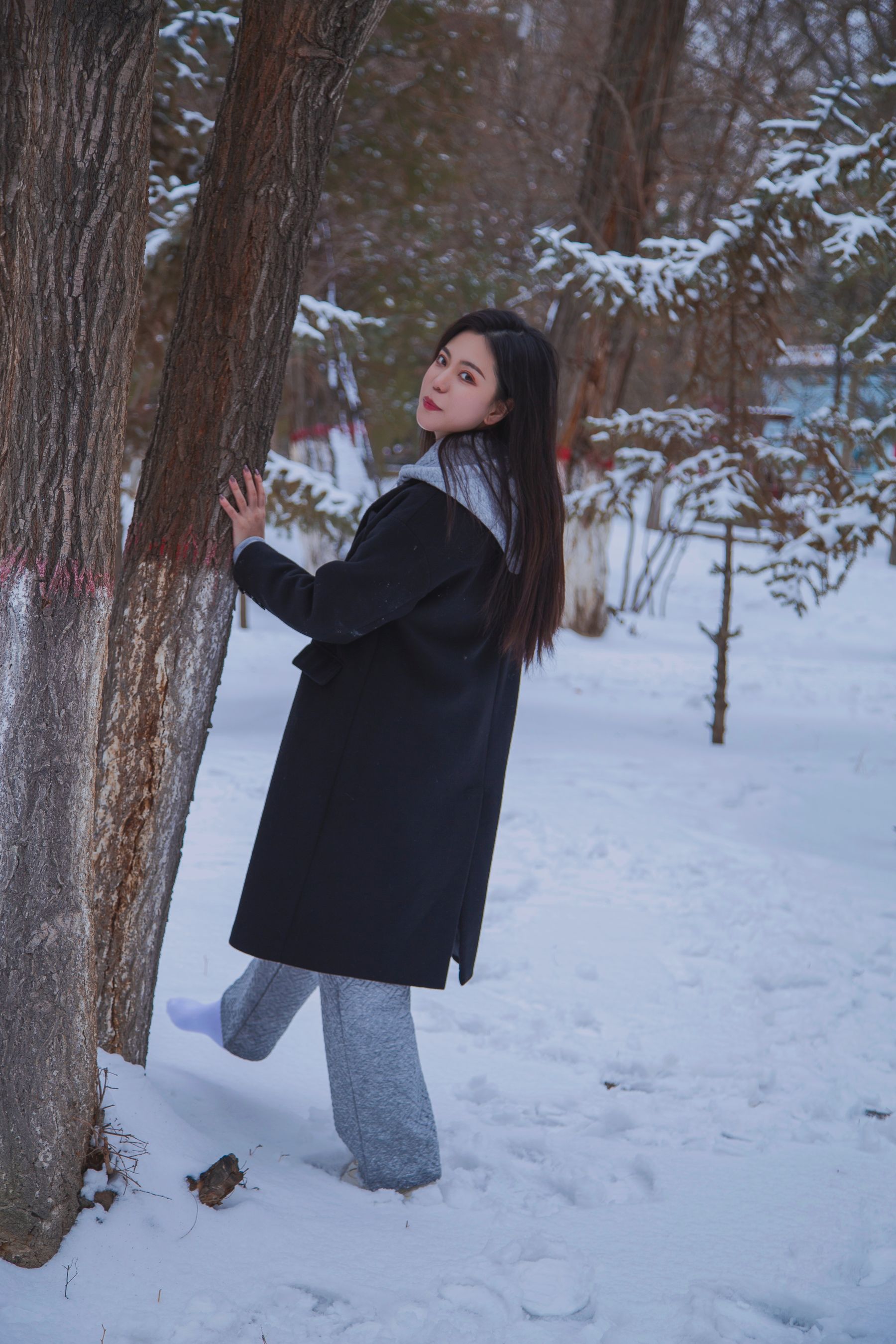 [织梦映像] 踏雪无痕-首次雪景拍摄，天寒地冻/(300P)