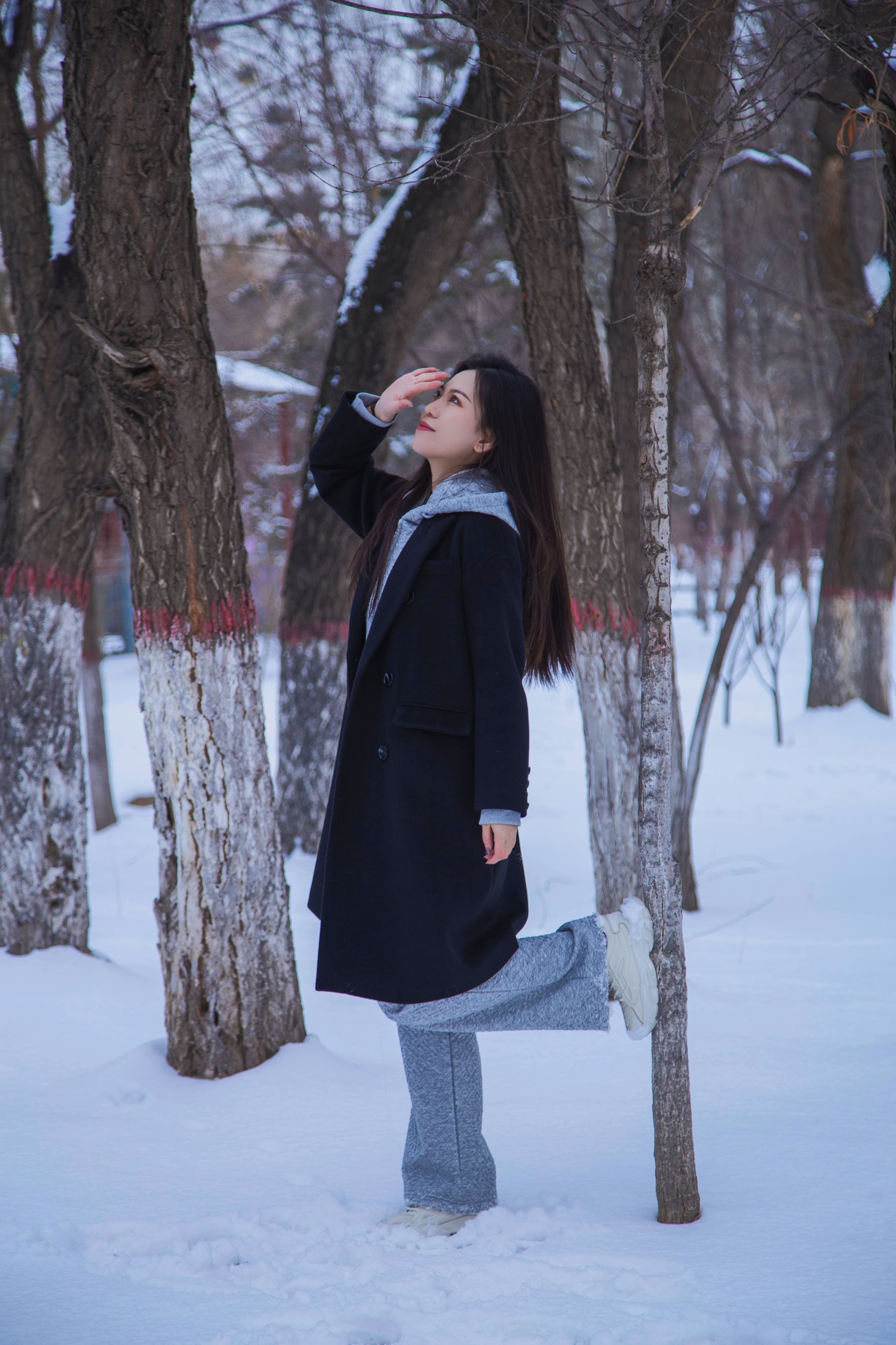 [织梦映像] 踏雪无痕-首次雪景拍摄，天寒地冻/(300P)