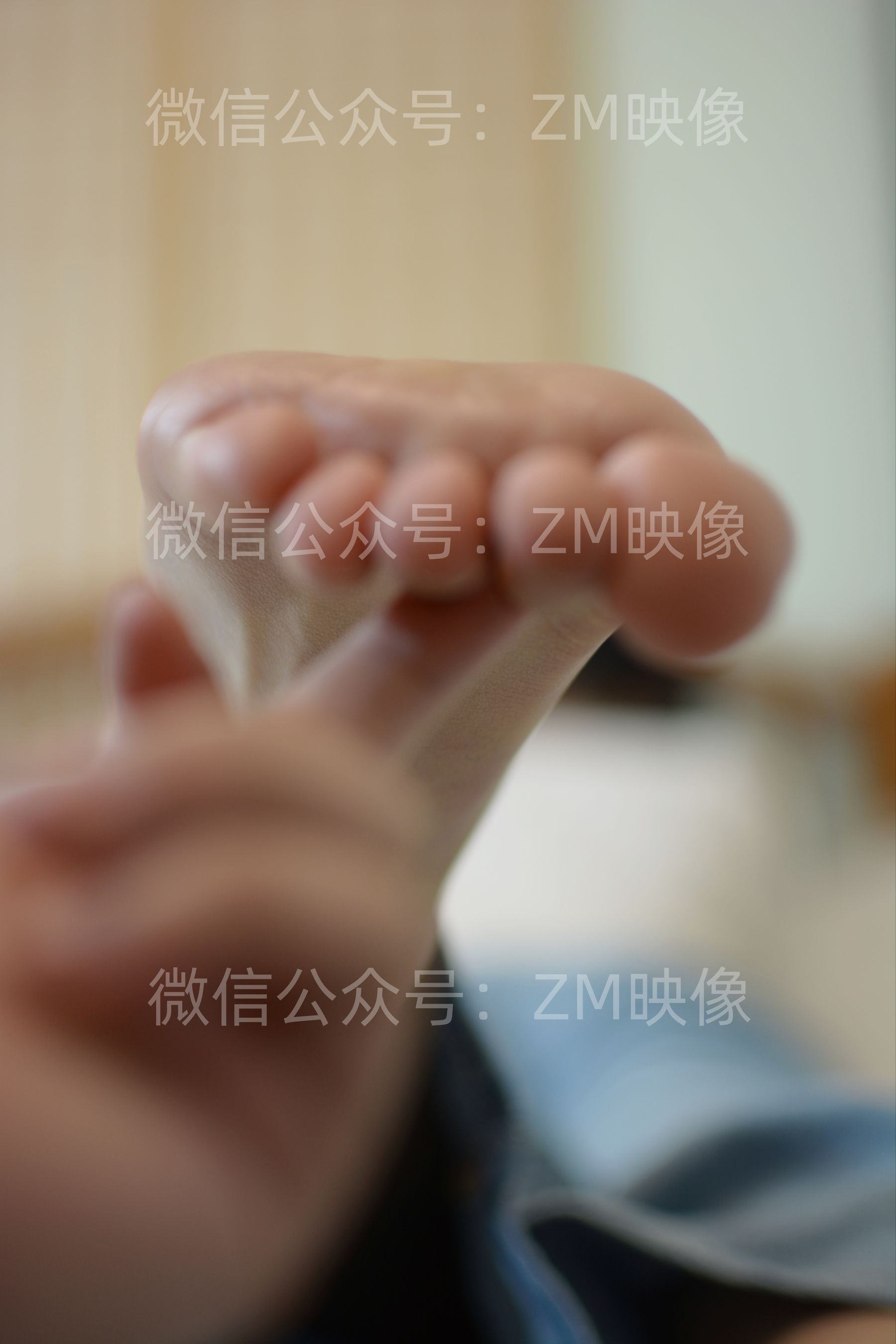 [织梦映像] 霜映春华-你是微笑里的甜/(400P)