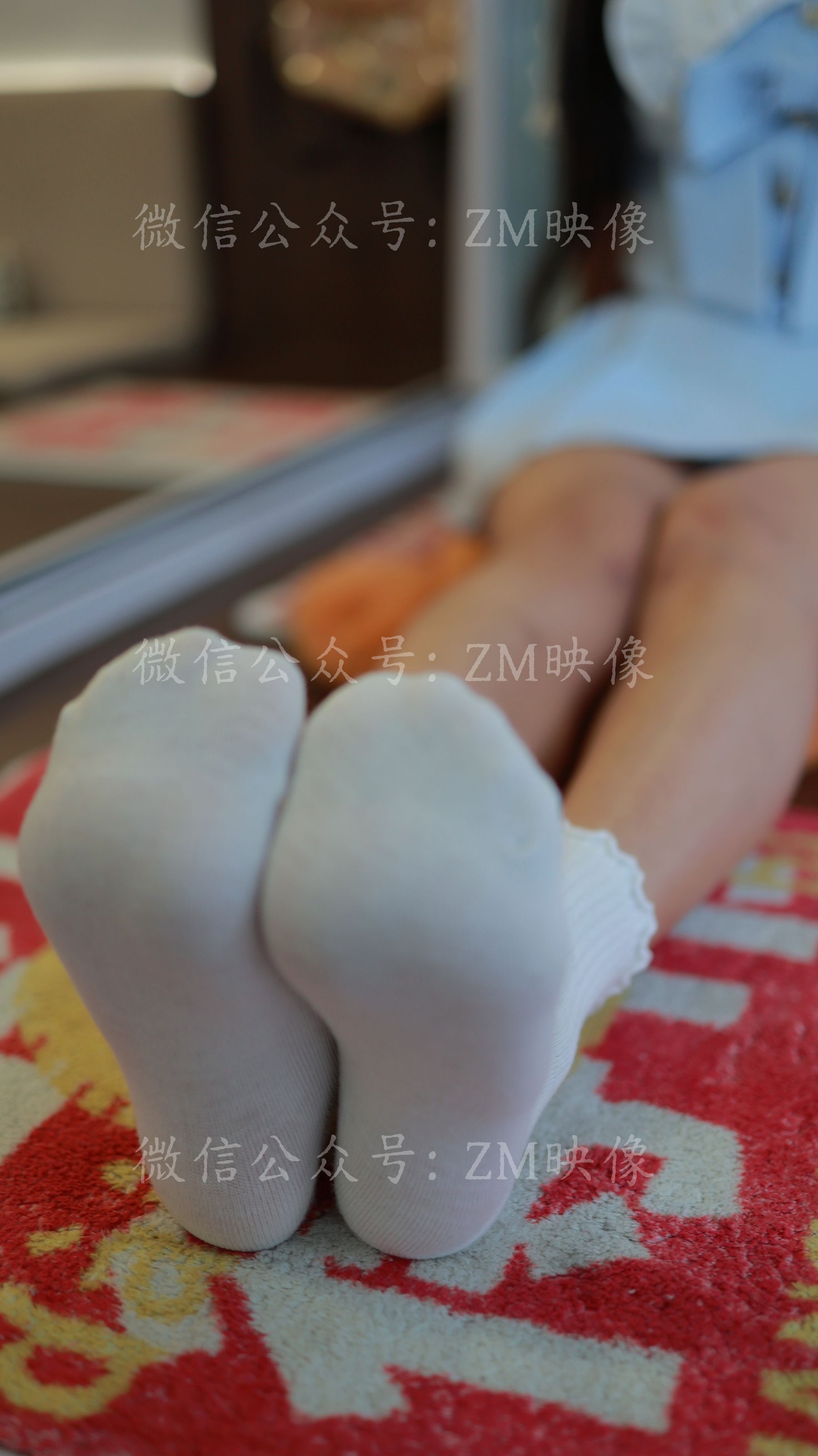 [织梦映像] 浮光掠影-无物可离虚壳外/(500P)