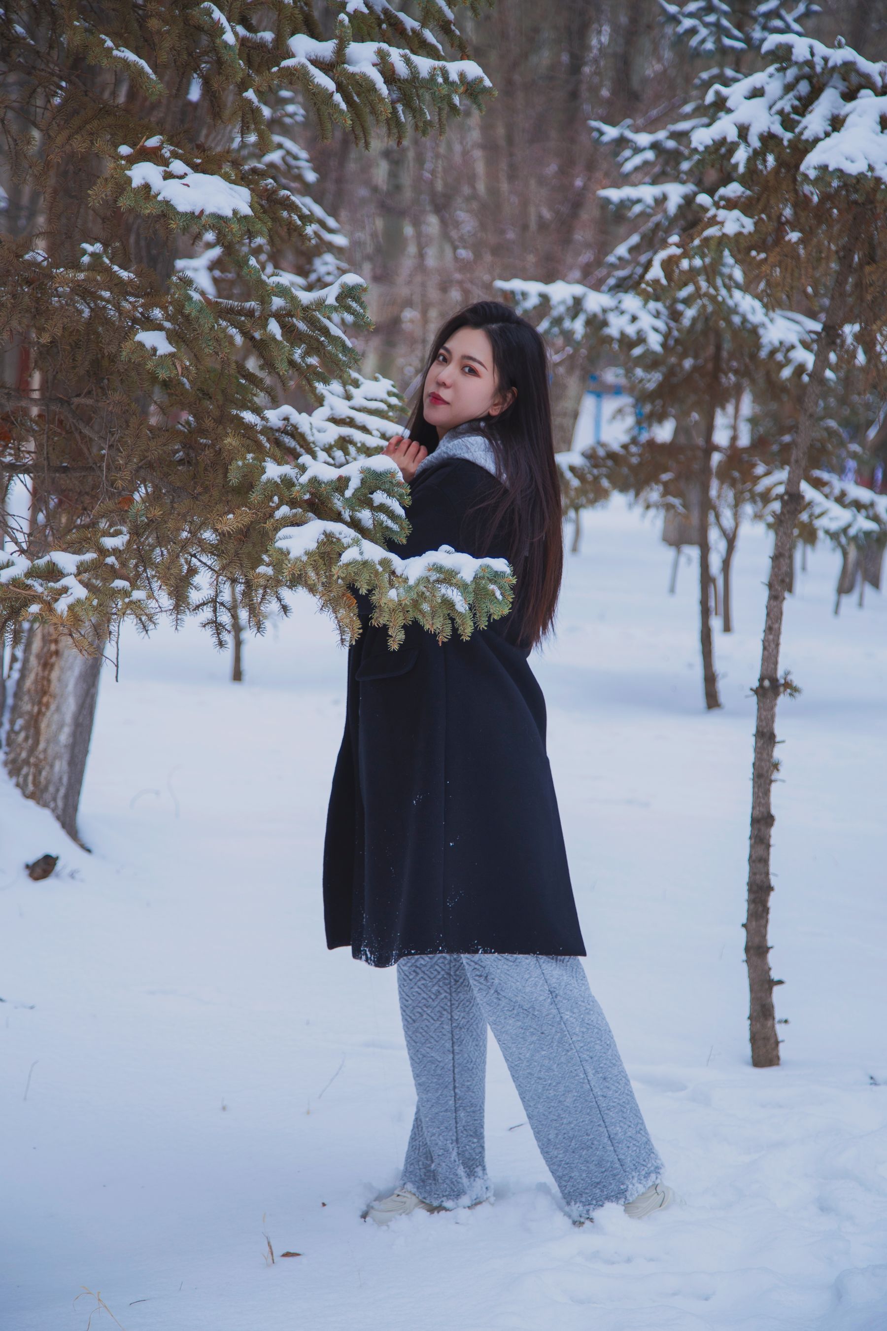 [织梦映像] 踏雪无痕-首次雪景拍摄，天寒地冻/(300P)