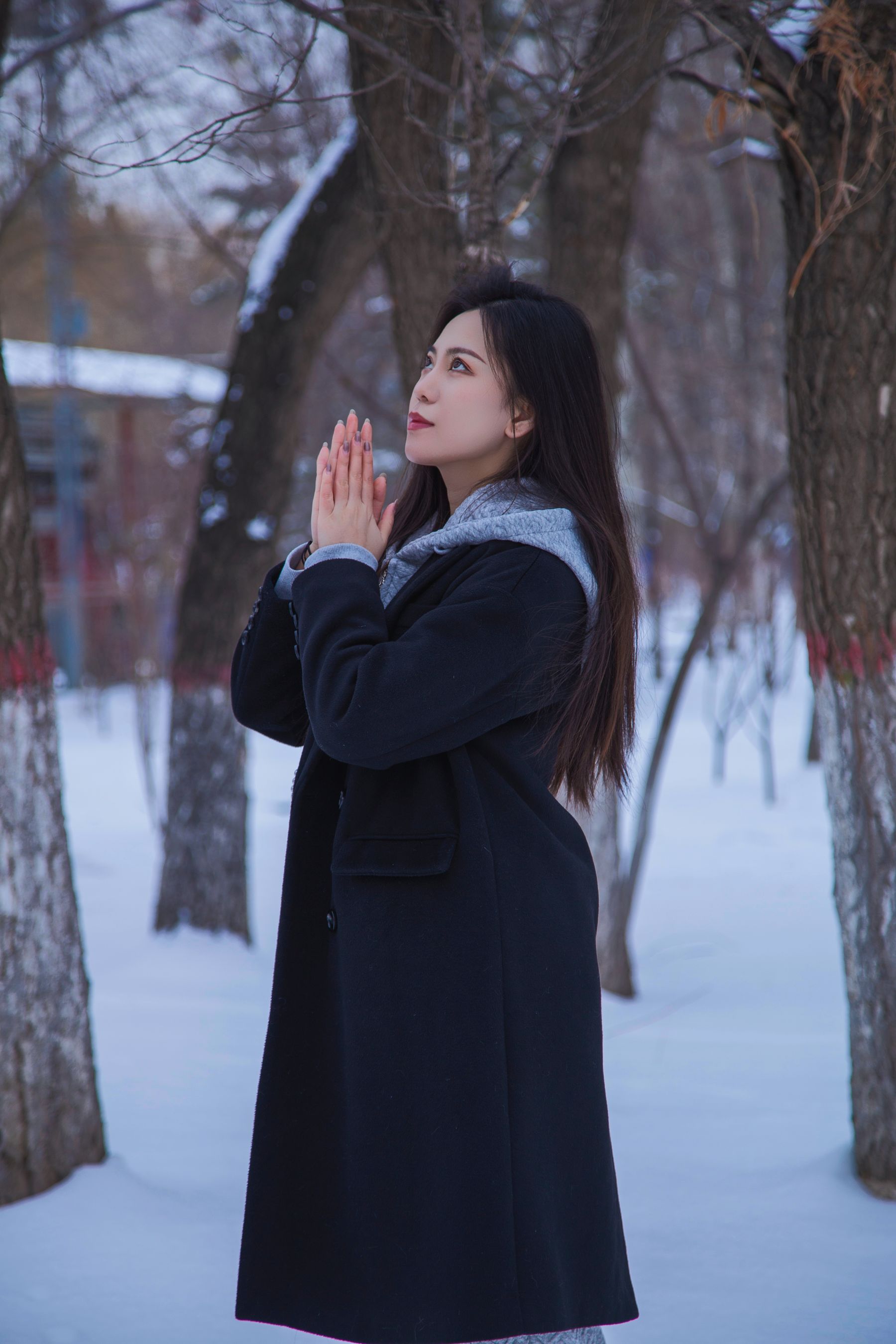 [织梦映像] 踏雪无痕-首次雪景拍摄，天寒地冻/(300P)