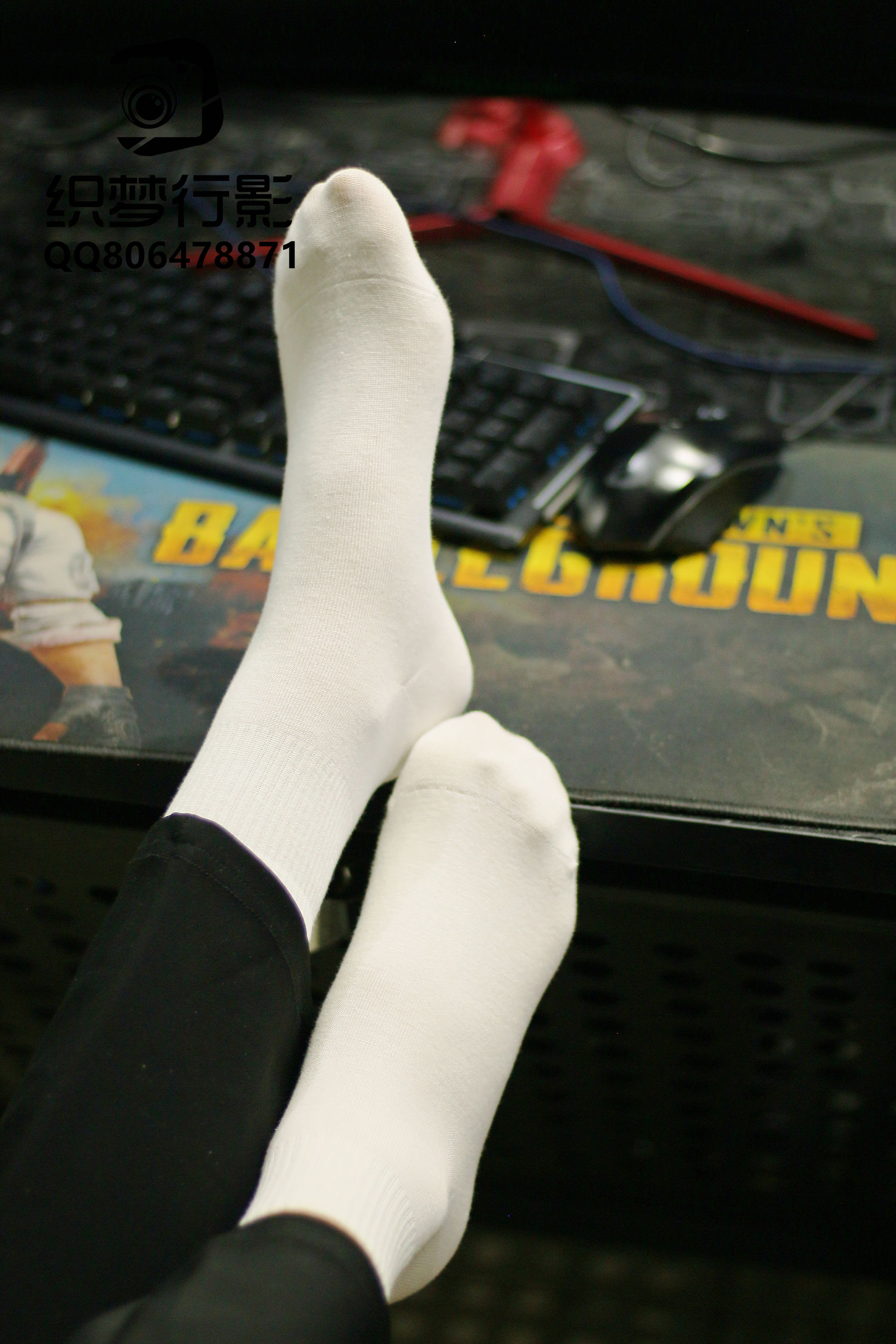 [织梦映像] 方寸之间-神游网络千万里/(300P)