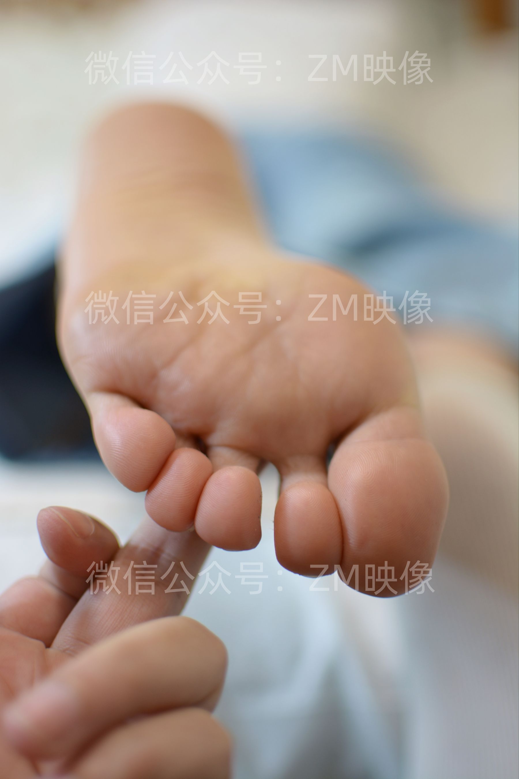 [织梦映像] 霜映春华-你是微笑里的甜/(400P)